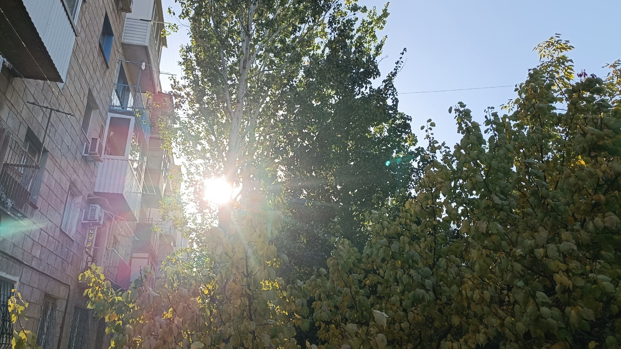 Читальный зал. Марина Рыбкина — Глубинная психология