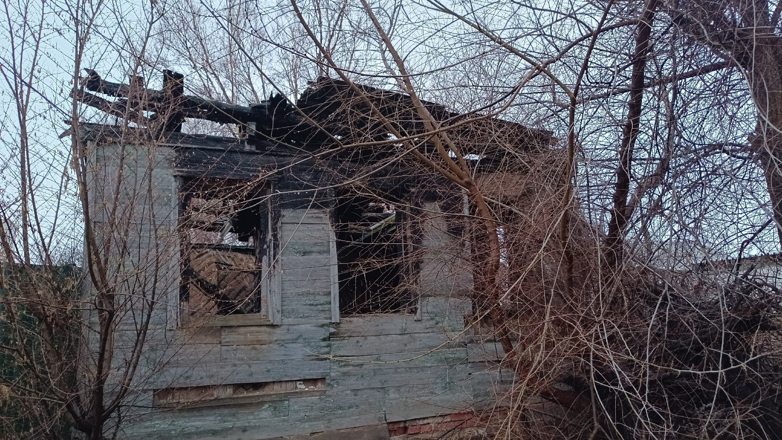 Читальный зал. Марина Рыбкина — Глубинная психология