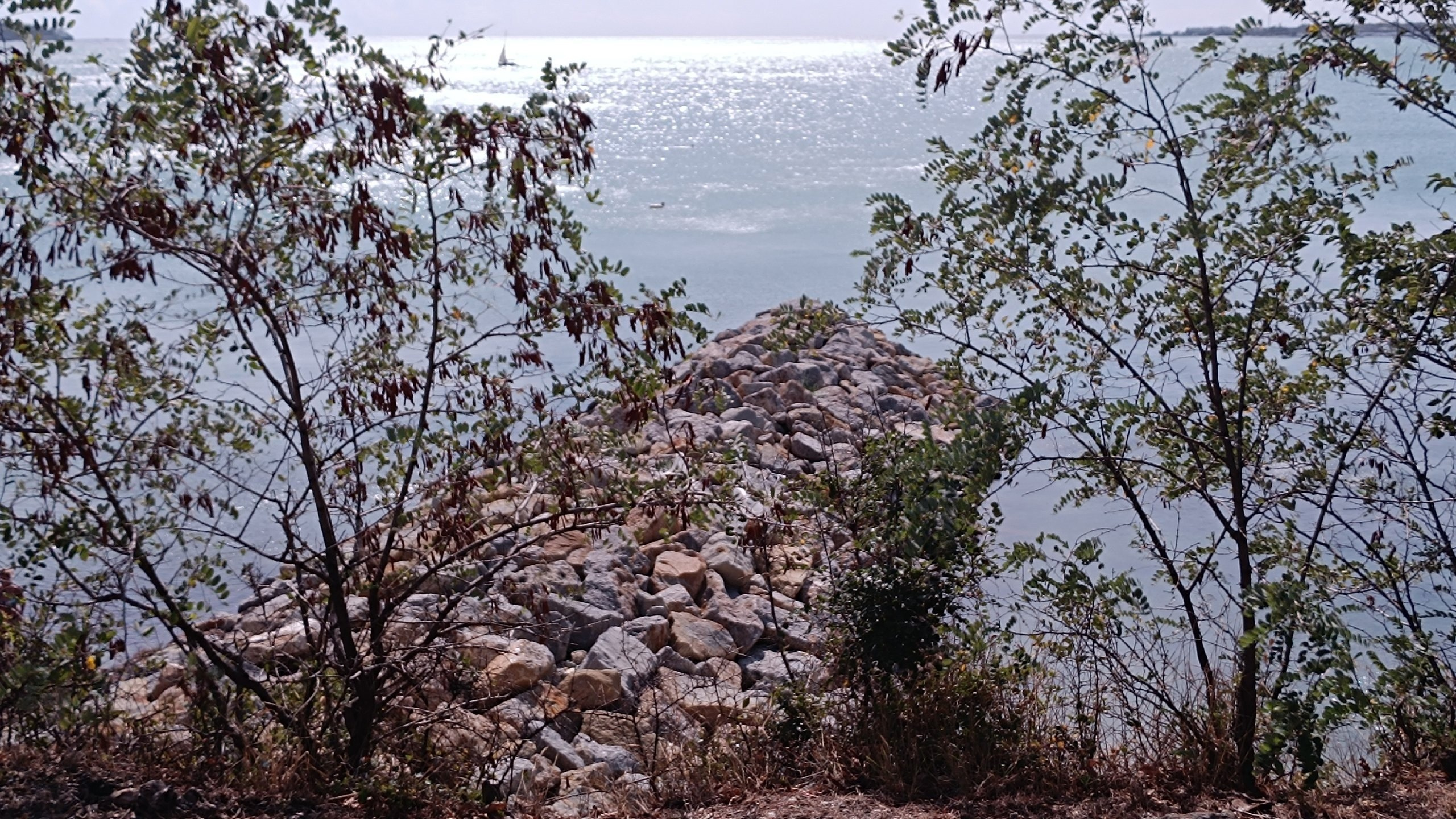 Читальный зал. Марина Рыбкина — Глубинная психология