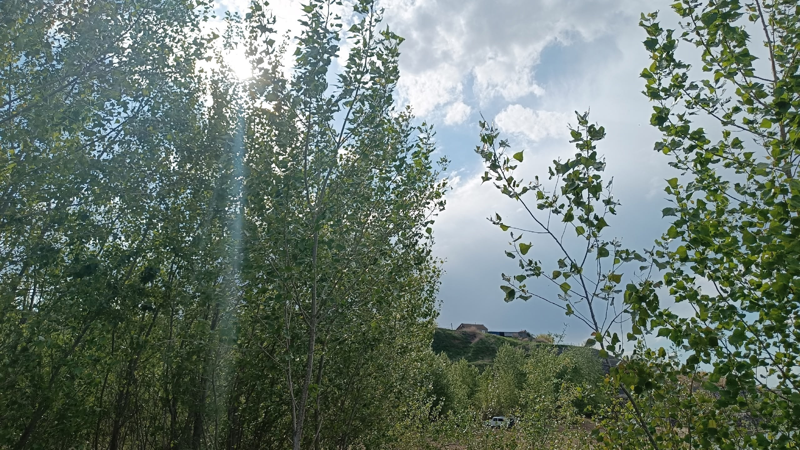 Читальный зал. Марина Рыбкина — Глубинная психология