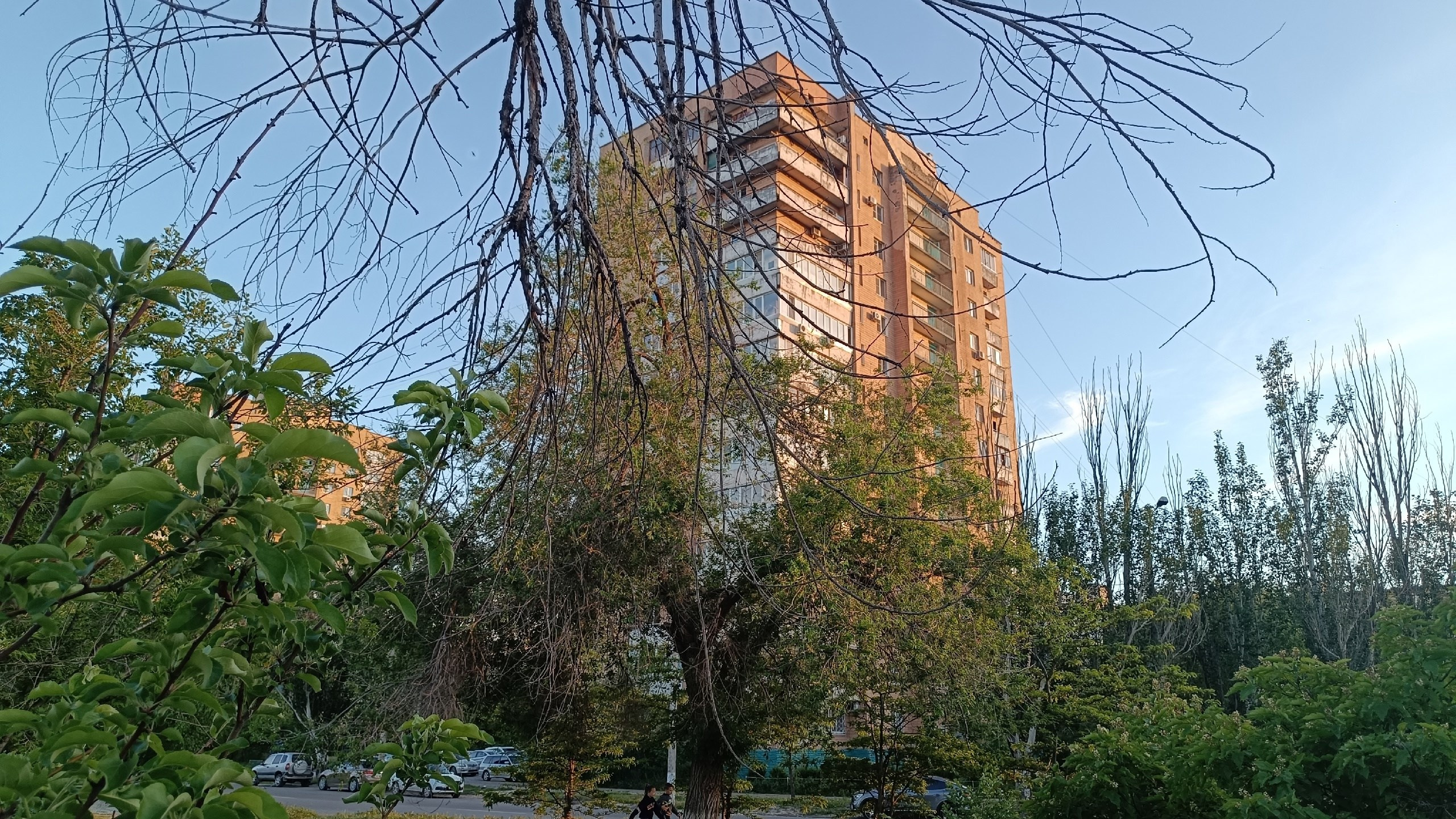 Читальный зал. Марина Рыбкина — Глубинная психология