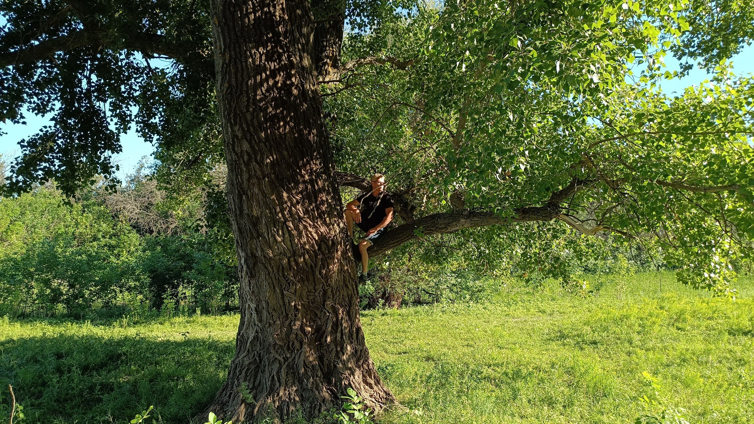 Читальный зал. Марина Рыбкина — Глубинная психология