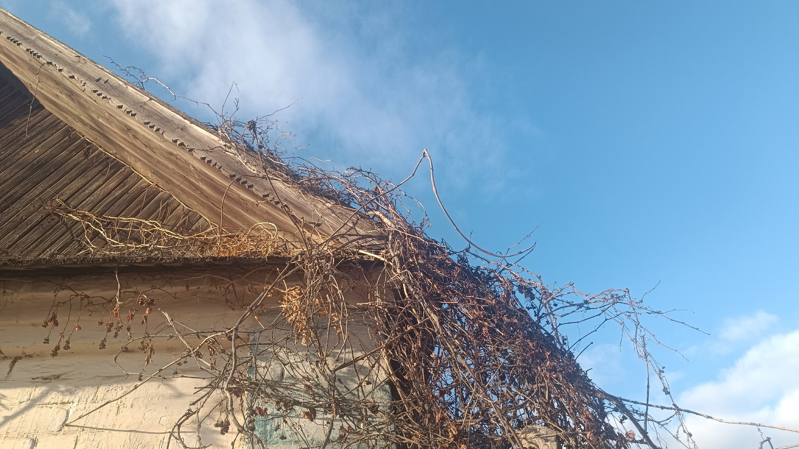 Читальный зал. Марина Рыбкина — Глубинная психология