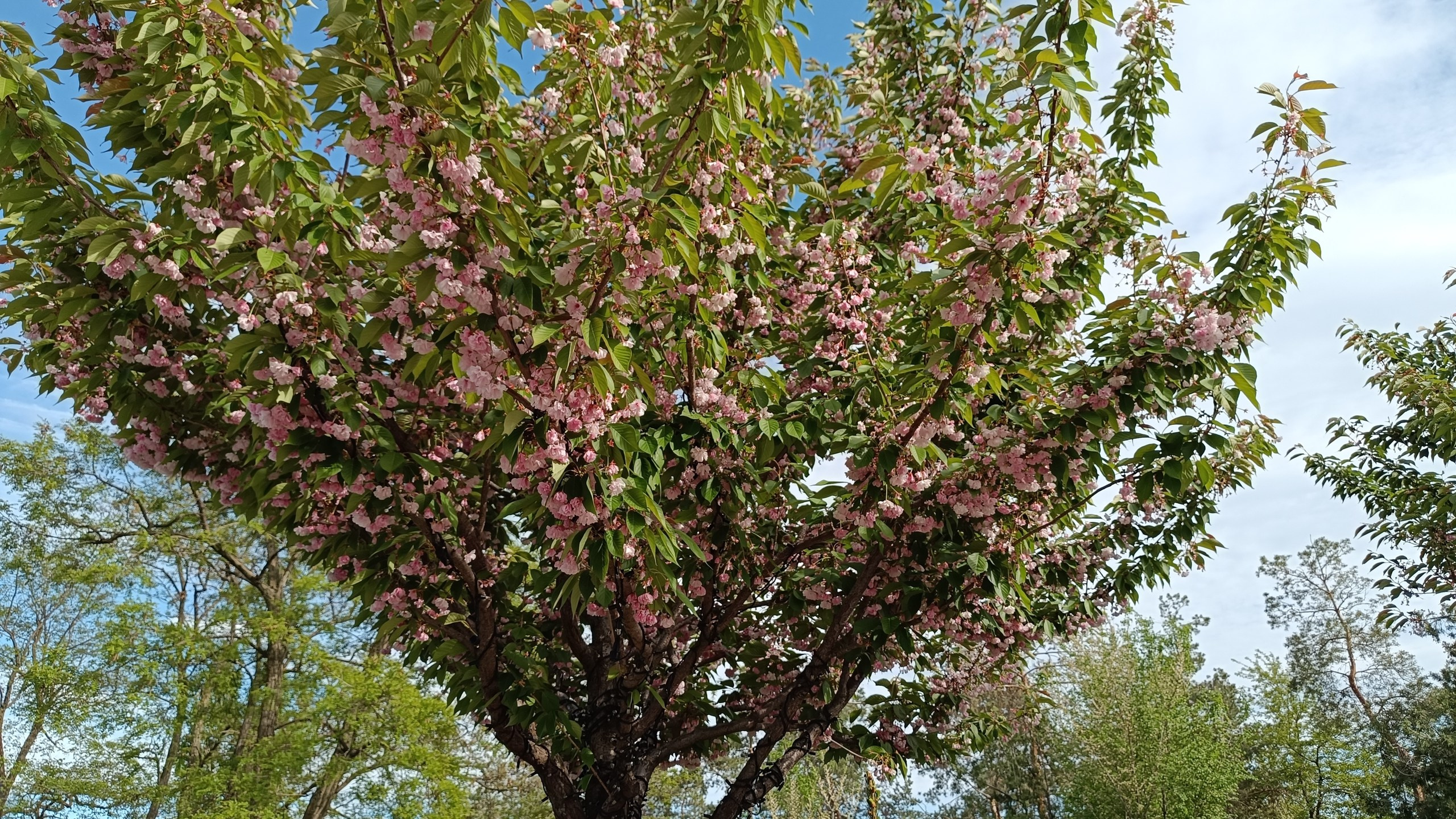 Читальный зал. Марина Рыбкина — Глубинная психология