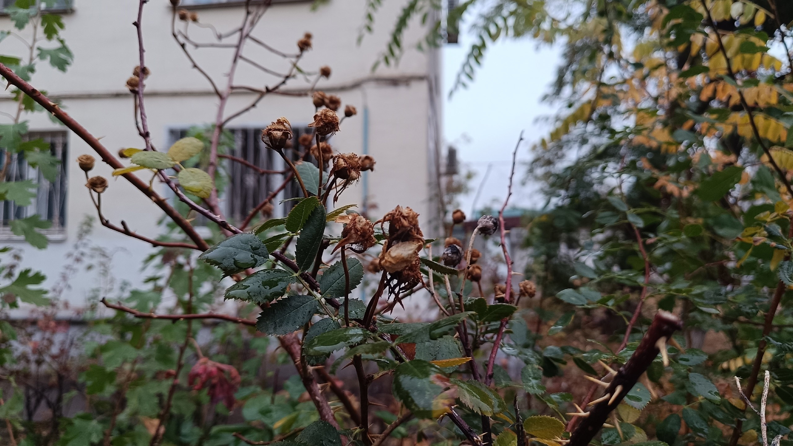 Читальный зал. Марина Рыбкина — Глубинная психология