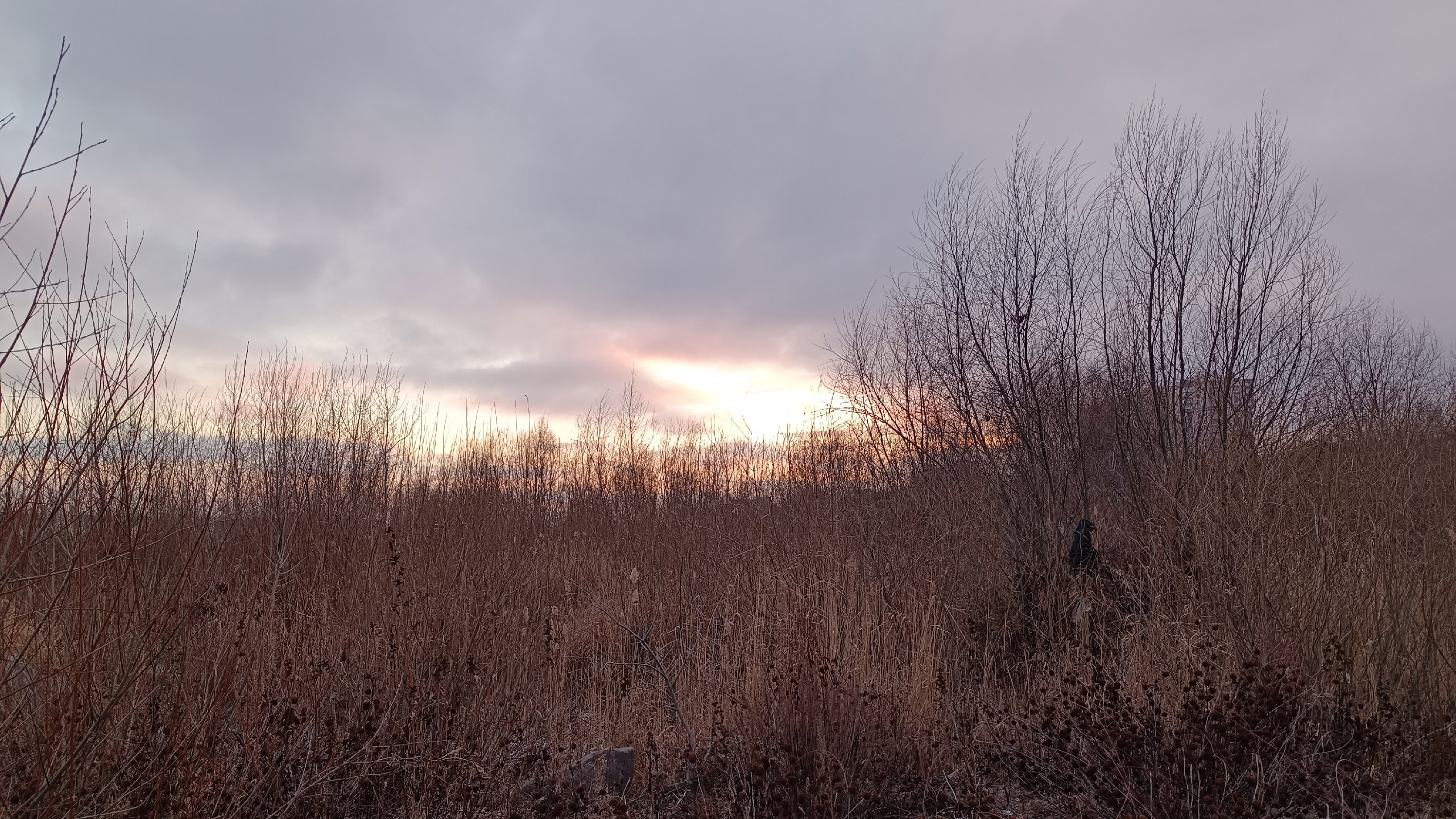 Читальный зал. Марина Рыбкина — Глубинная психология