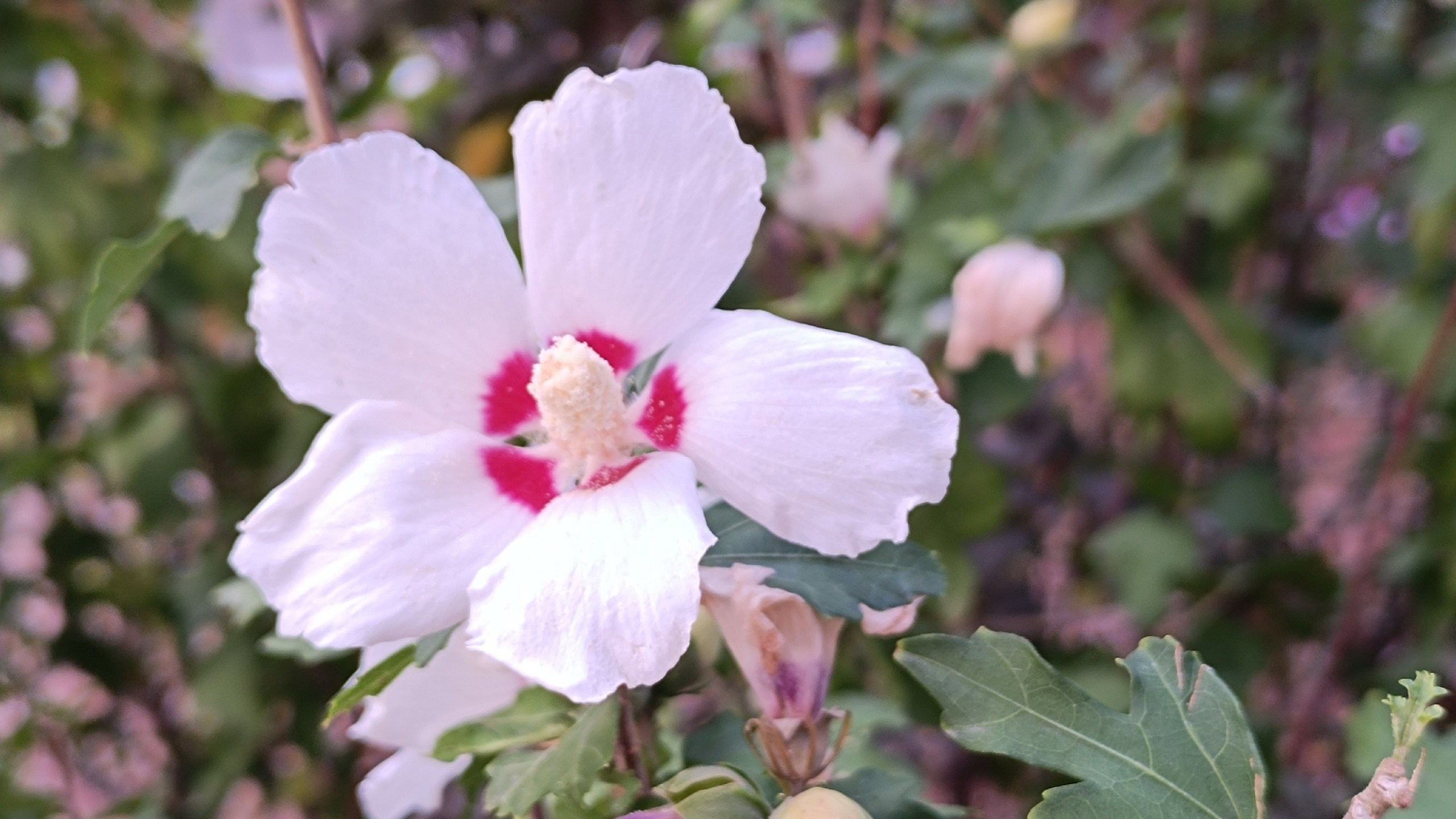 Читальный зал. Марина Рыбкина — Глубинная психология