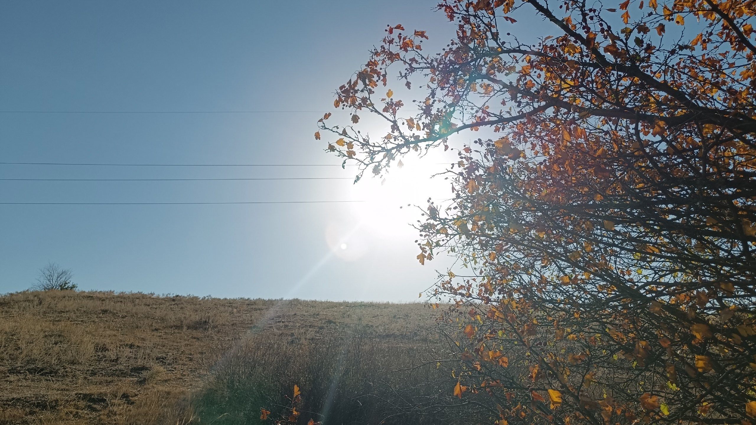 Читальный зал. Марина Рыбкина — Глубинная психология