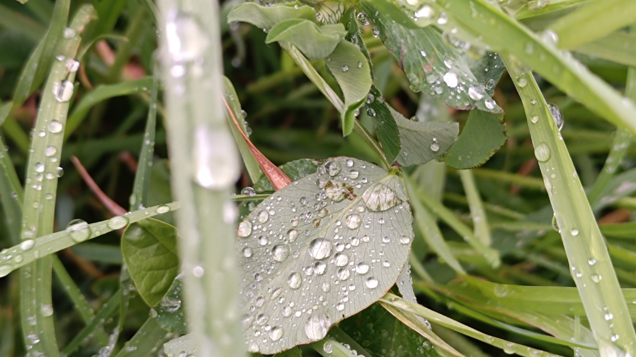 Читальный зал. Марина Рыбкина — Глубинная психология