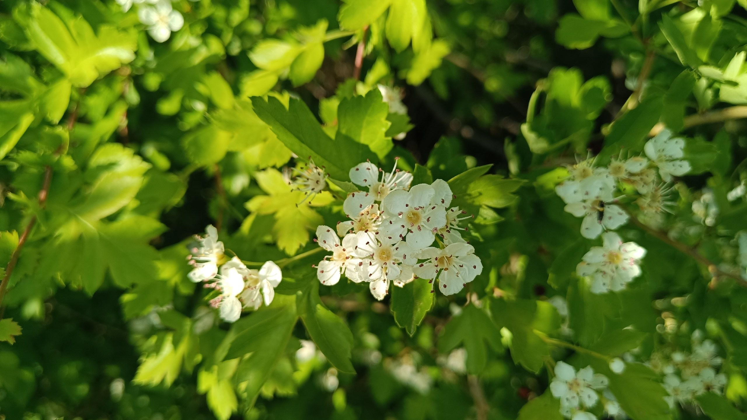Читальный зал. Марина Рыбкина — Глубинная психология