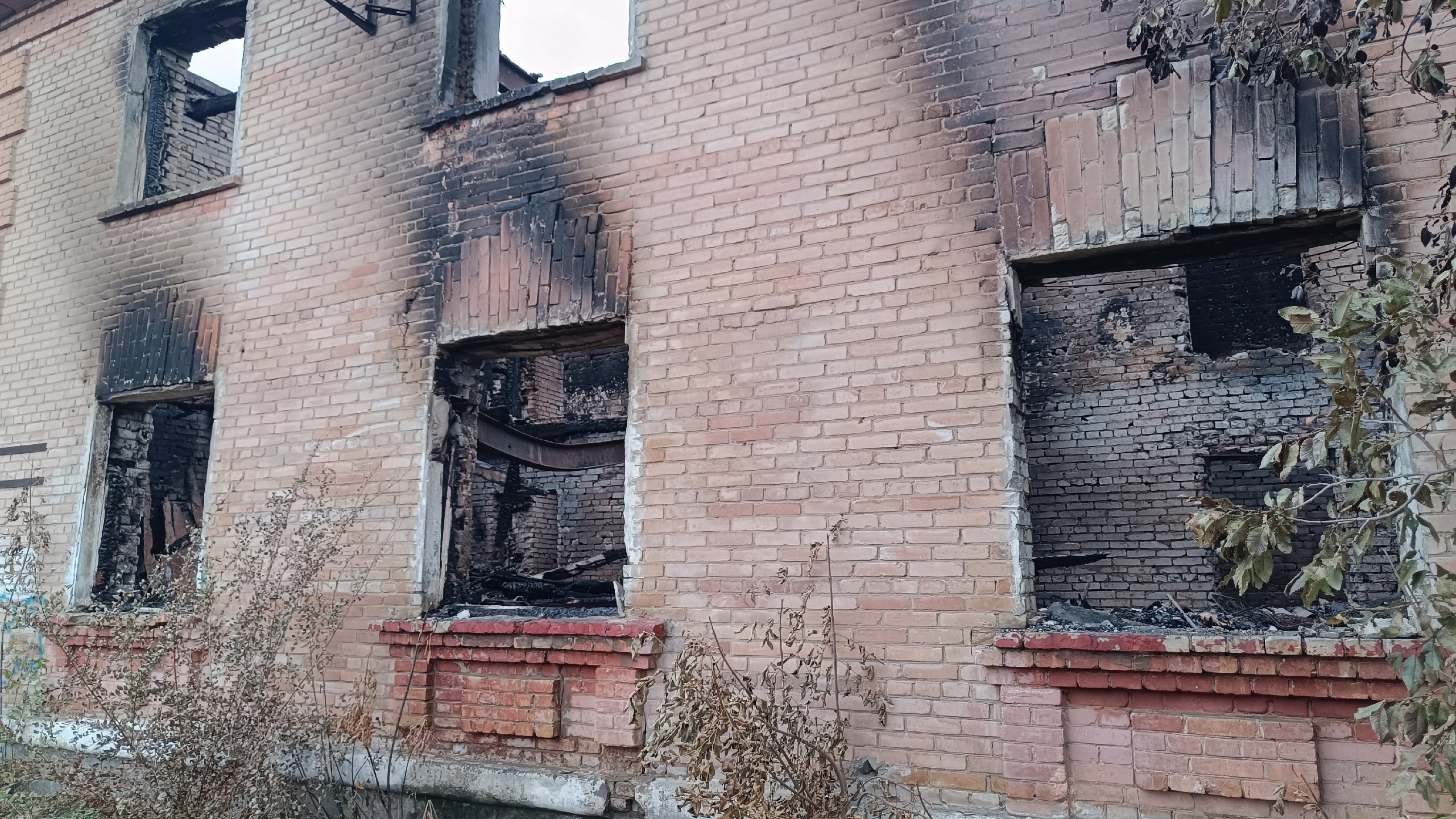 Читальный зал. Марина Рыбкина — Глубинная психология