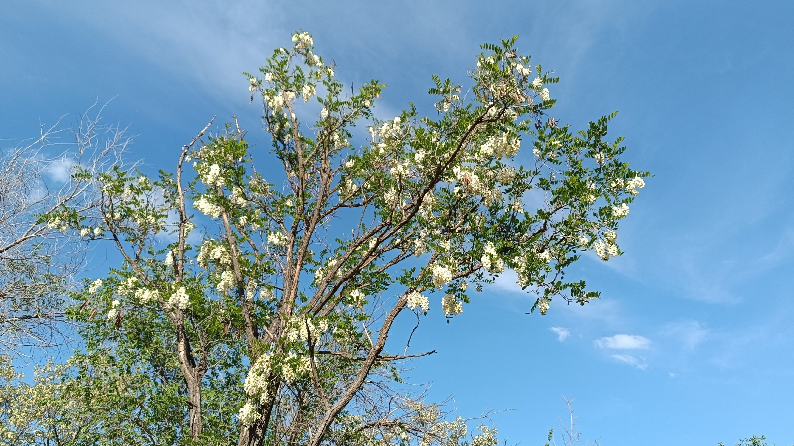 Читальный зал. Марина Рыбкина — Глубинная психология