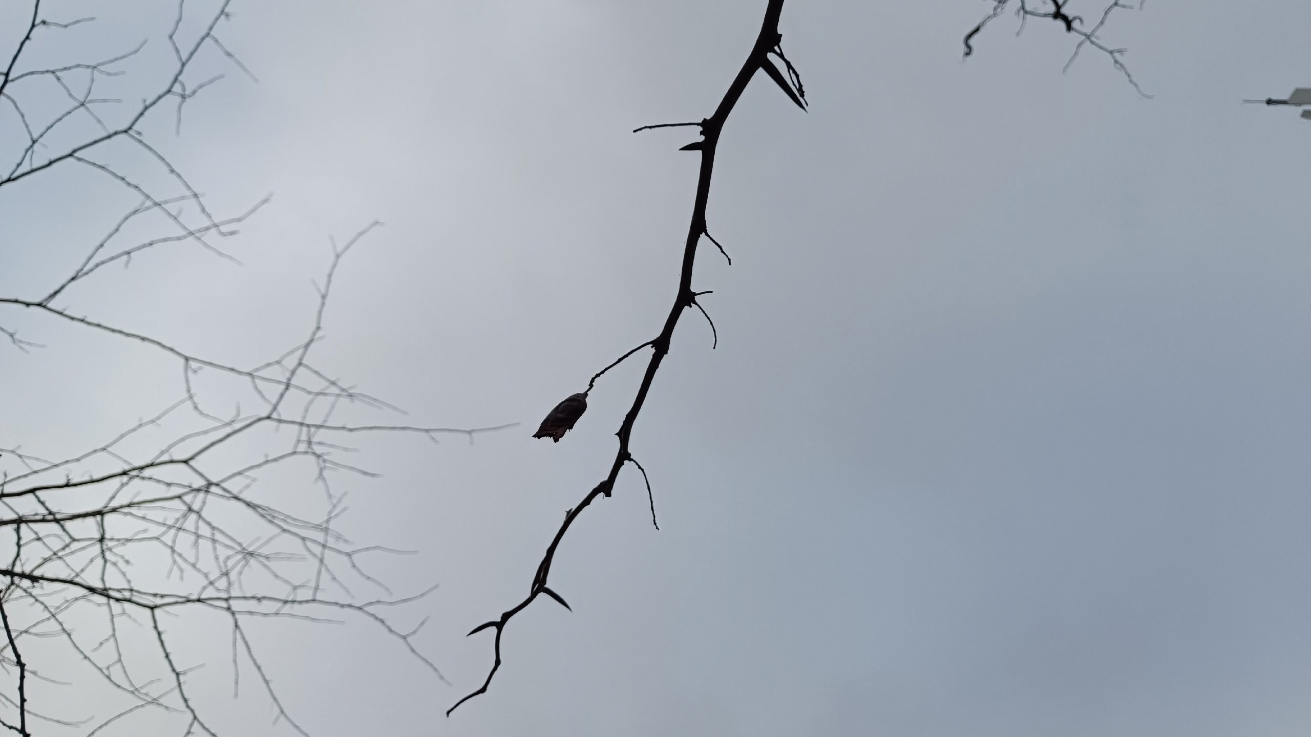 Читальный зал. Марина Рыбкина — Глубинная психология