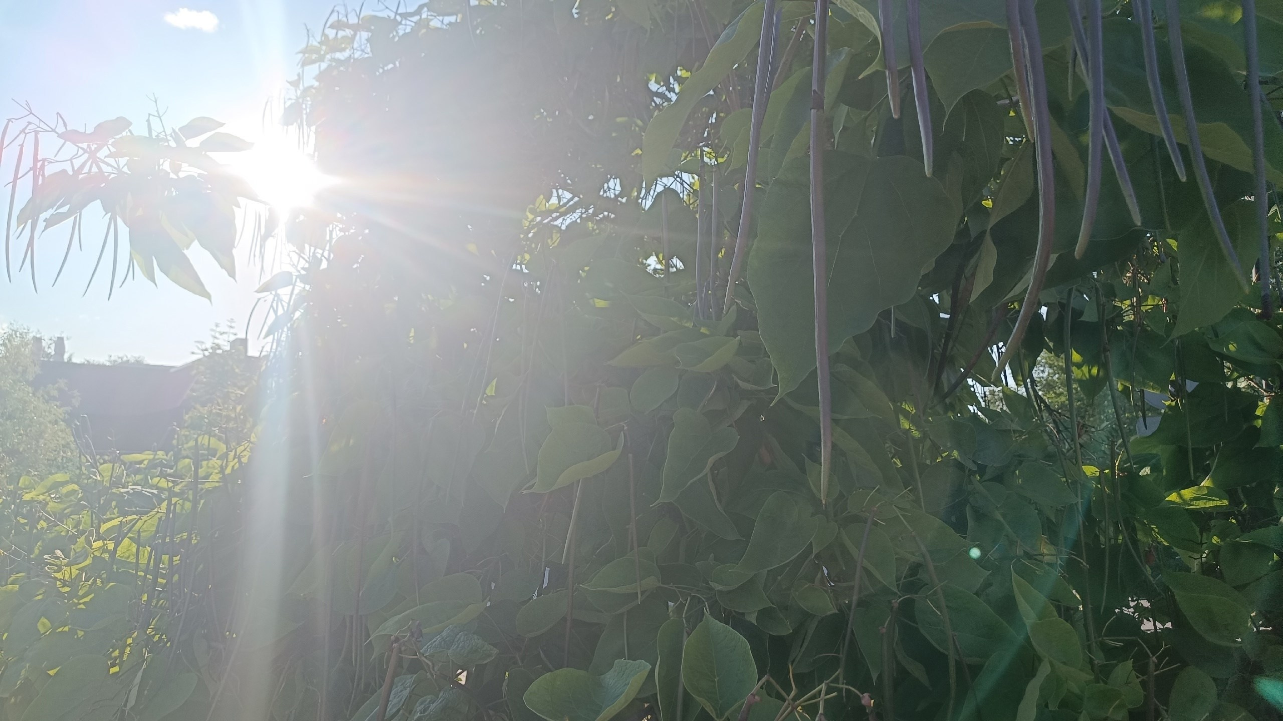 Читальный зал. Марина Рыбкина — Глубинная психология