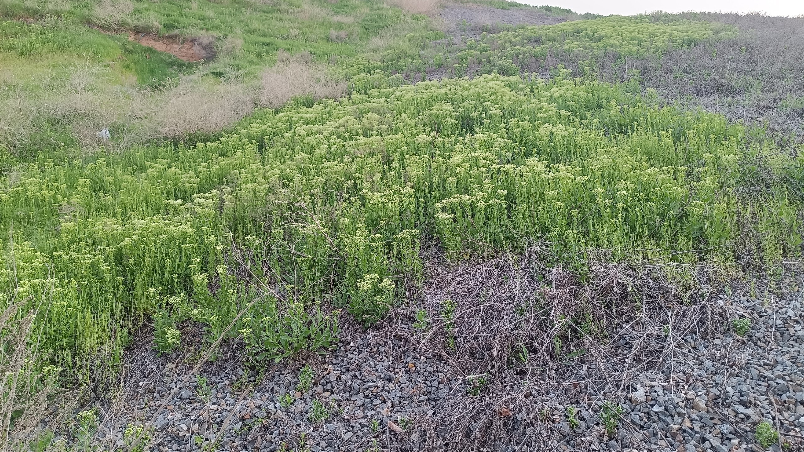 Синрин-йоку. Марина Рыбкина — Глубинная психология
