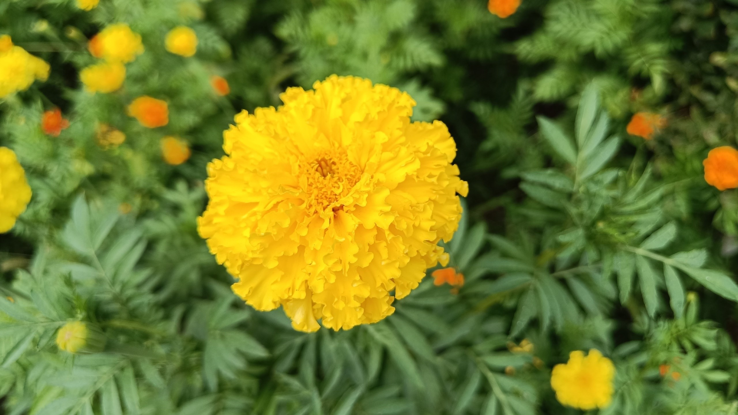 Читальный зал. Марина Рыбкина — Глубинная психология