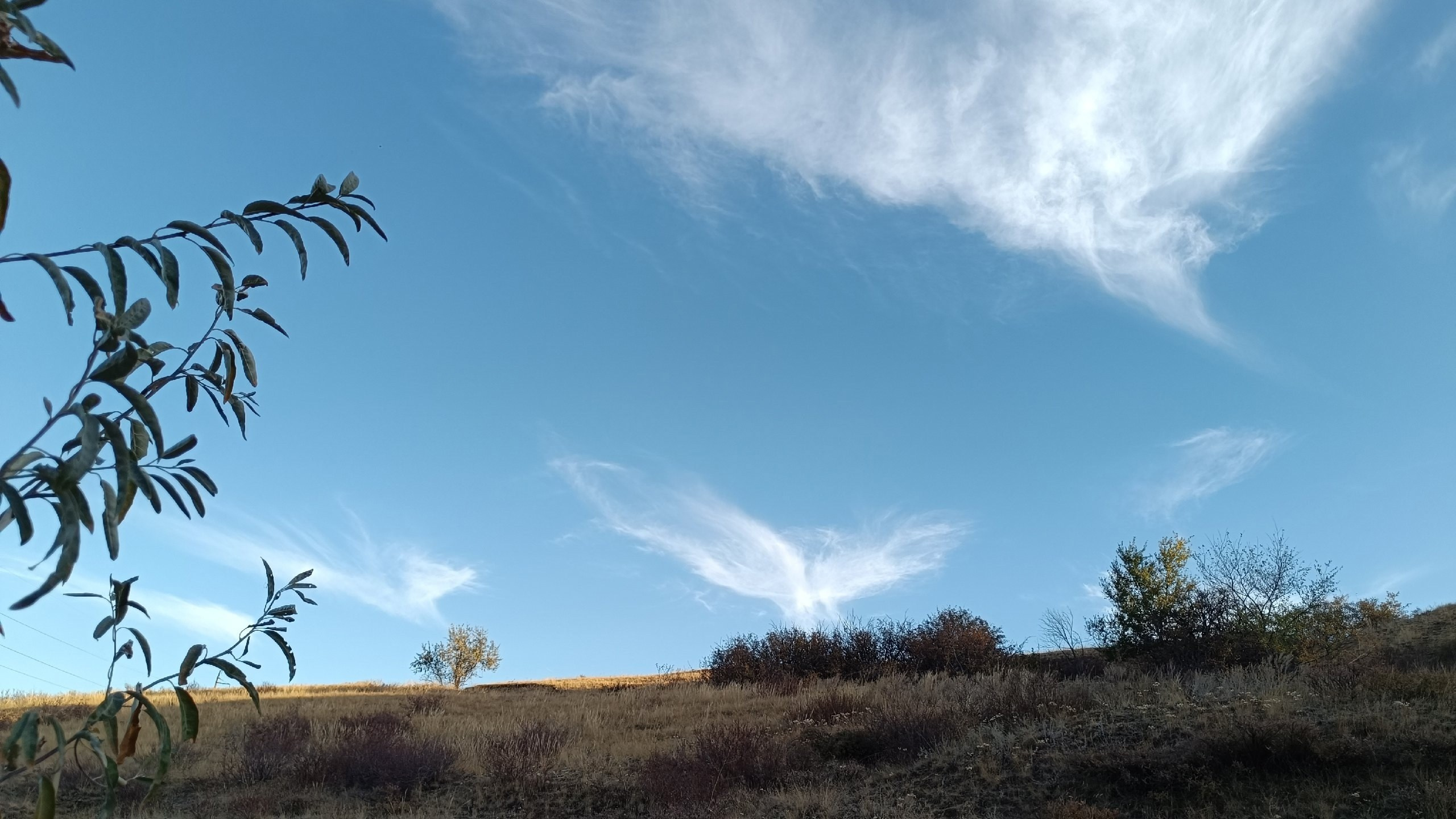 Читальный зал. Марина Рыбкина — Глубинная психология