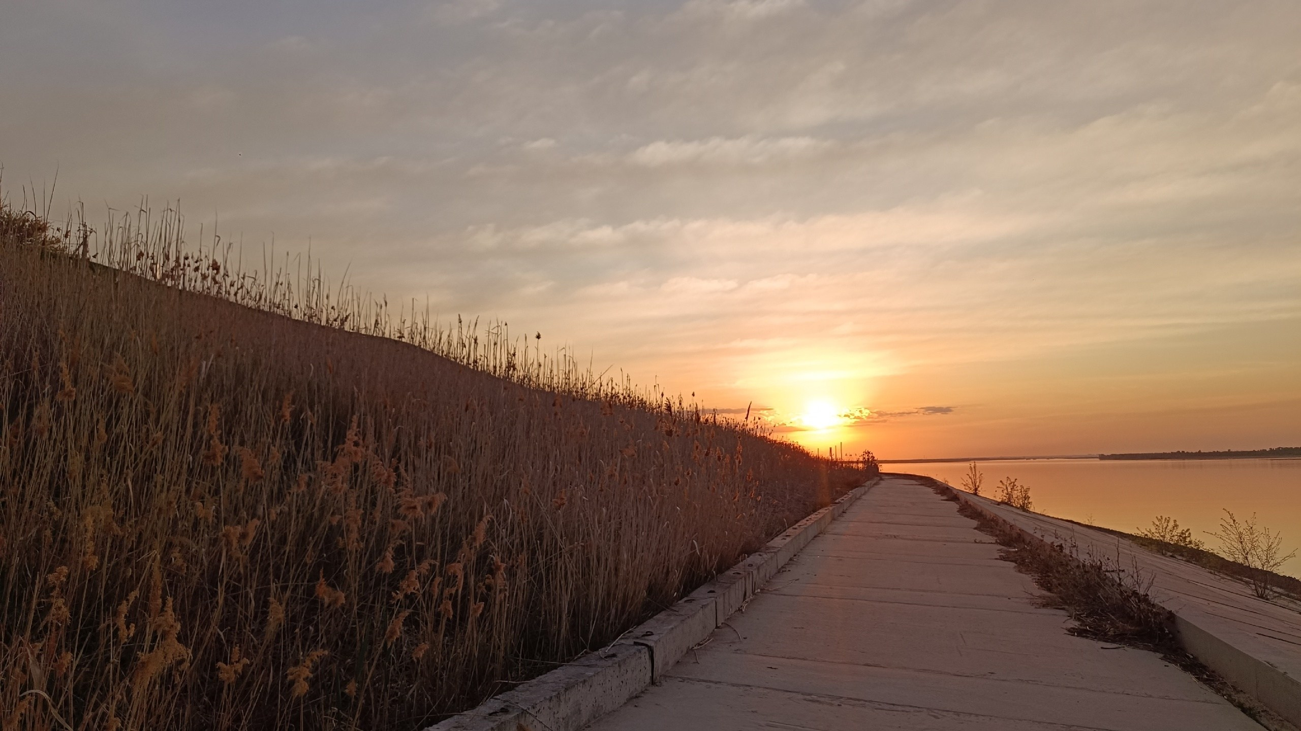 Читальный зал. Марина Рыбкина — Глубинная психология