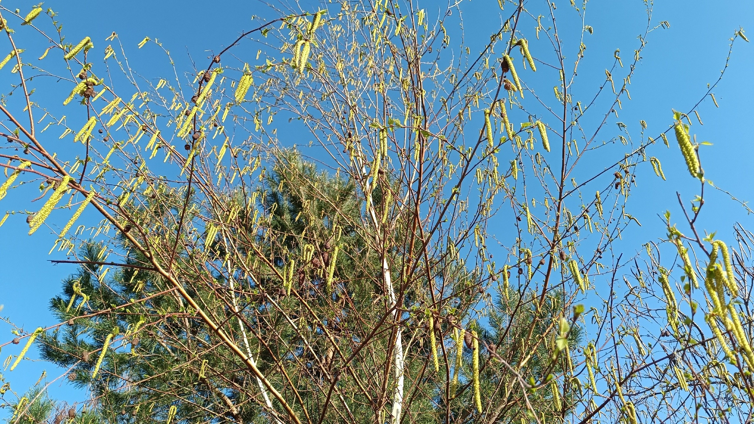 Читальный зал. Марина Рыбкина — Глубинная психология