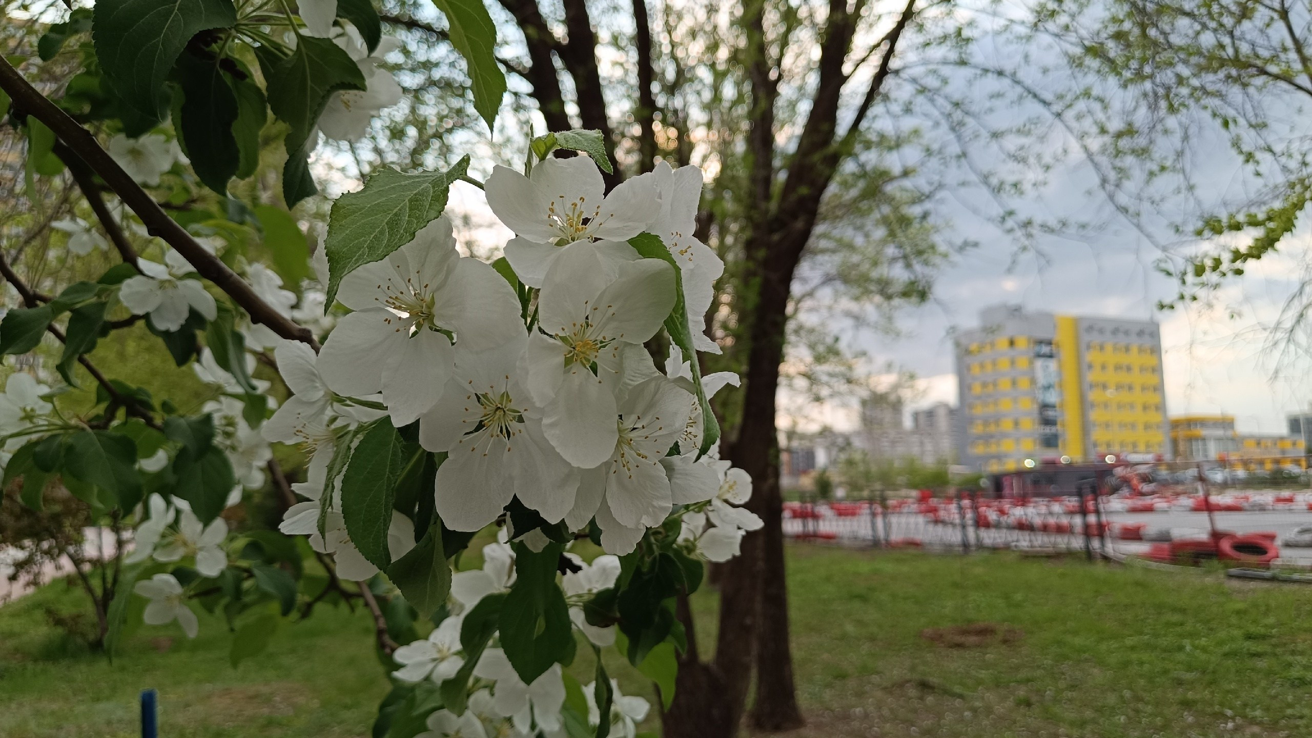 Читальный зал. Марина Рыбкина — Глубинная психология