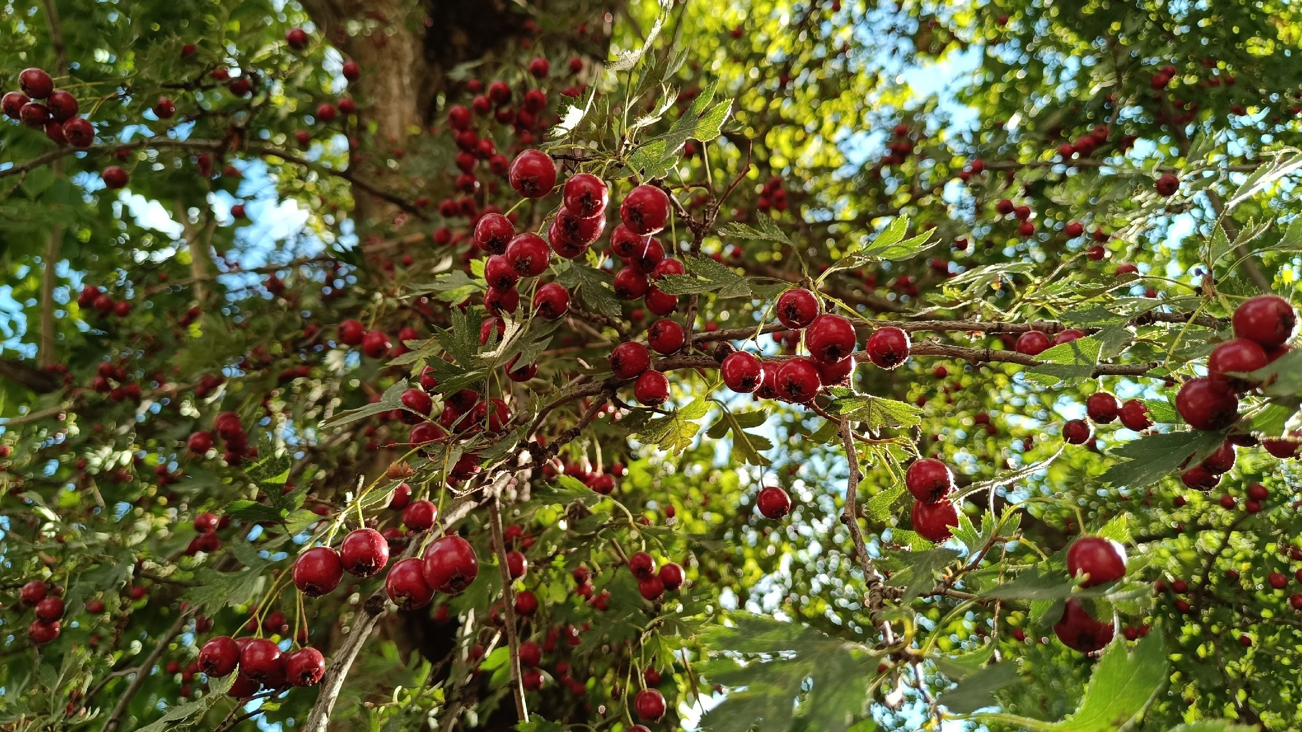 Читальный зал. Марина Рыбкина — Глубинная психология