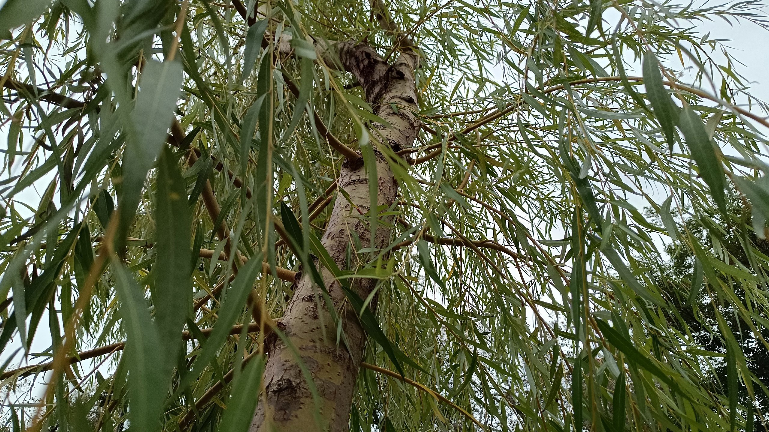 Читальный зал. Марина Рыбкина — Глубинная психология