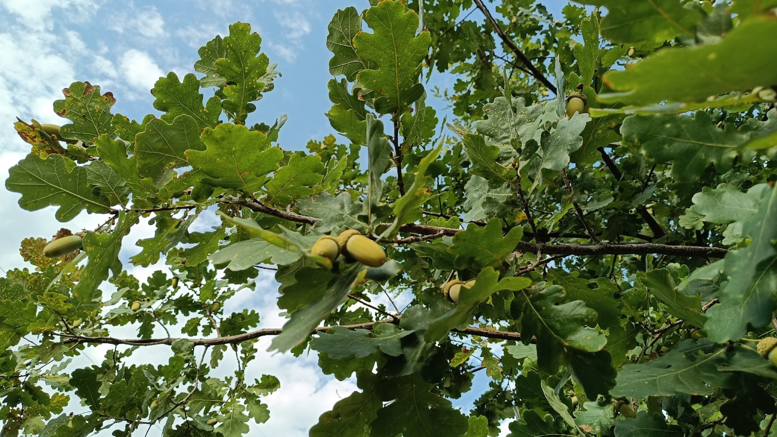 Читальный зал. Марина Рыбкина — Глубинная психология