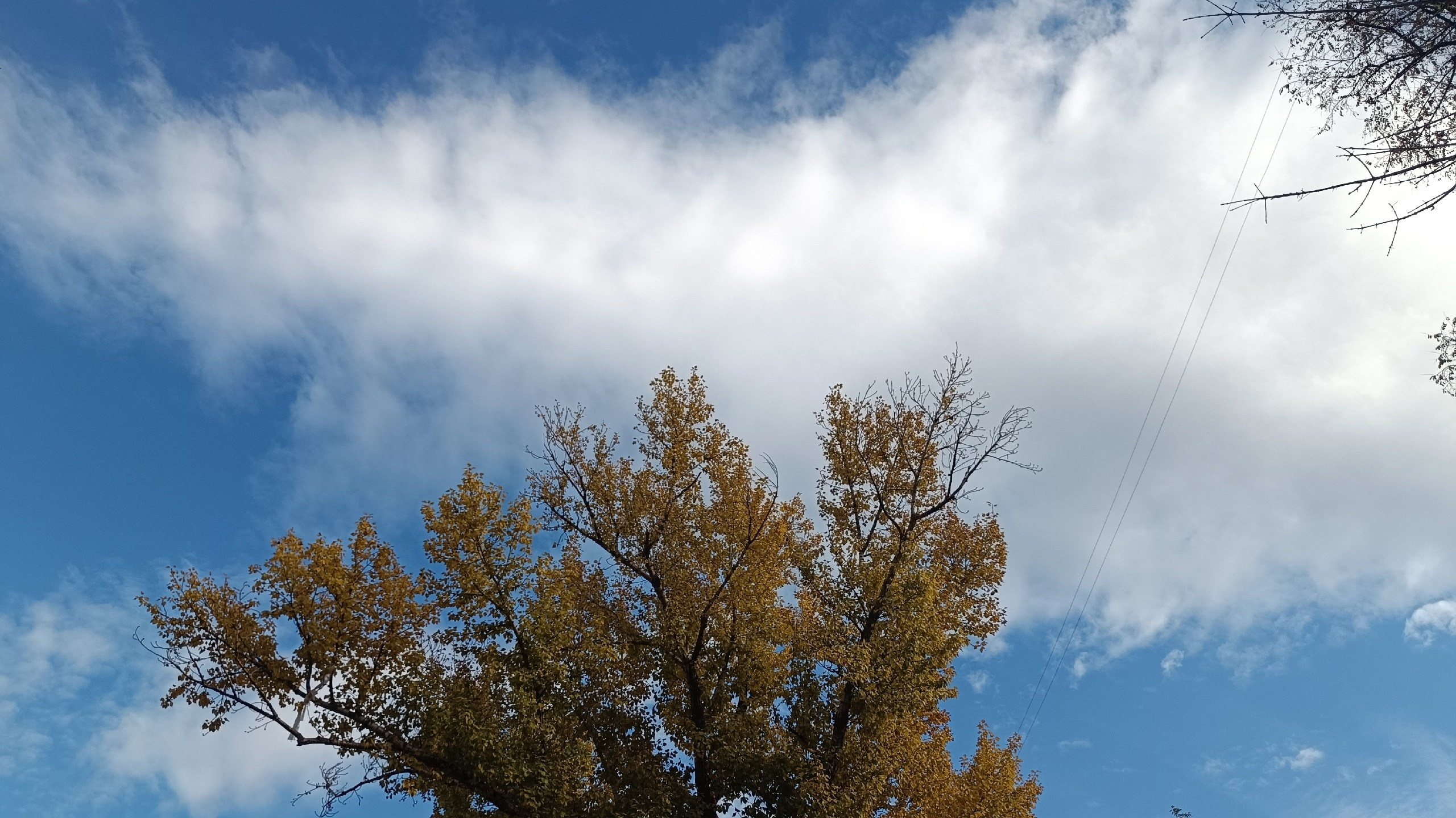 Читальный зал. Марина Рыбкина — Глубинная психология