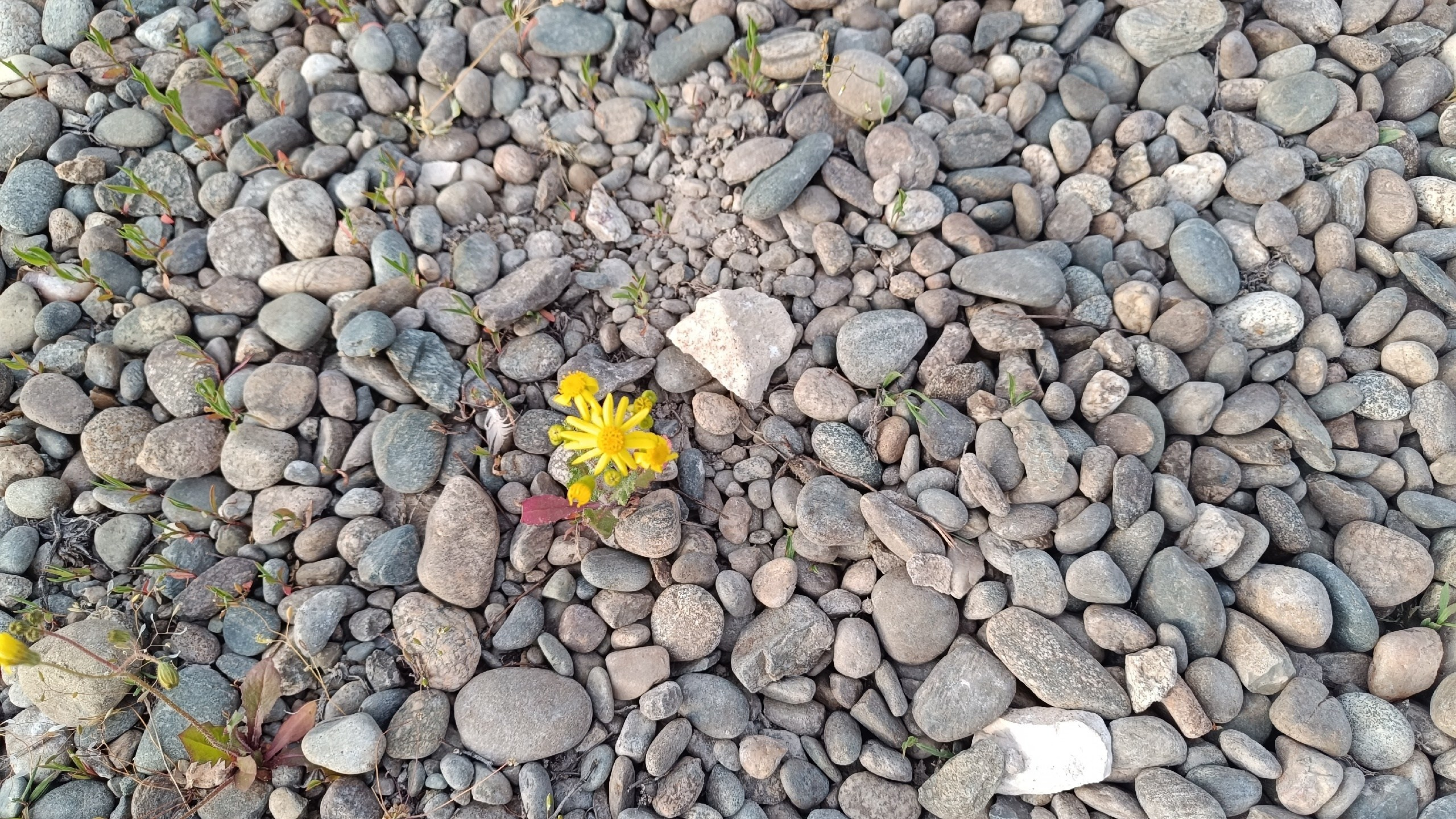 Читальный зал. Марина Рыбкина — Глубинная психология