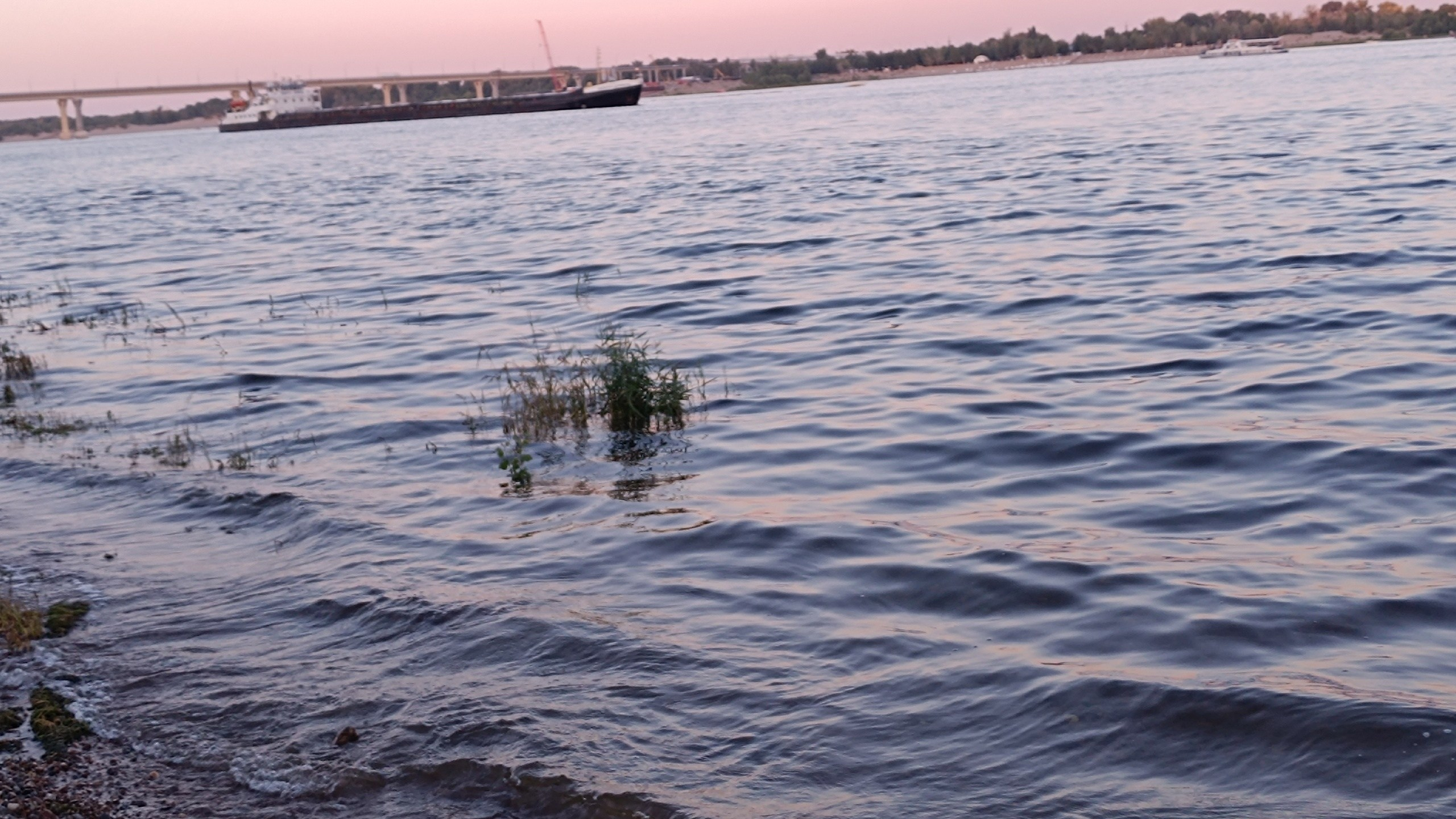 Читальный зал. Марина Рыбкина — Глубинная психология