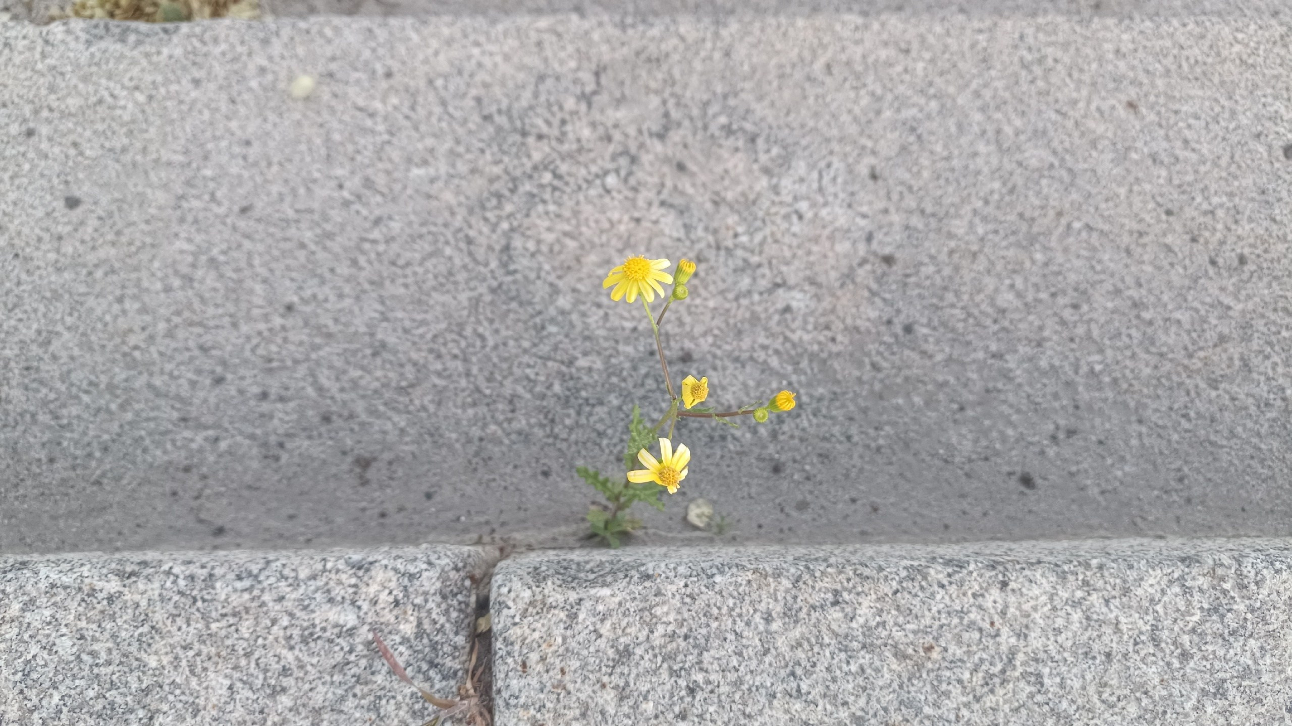 Читальный зал. Марина Рыбкина — Глубинная психология