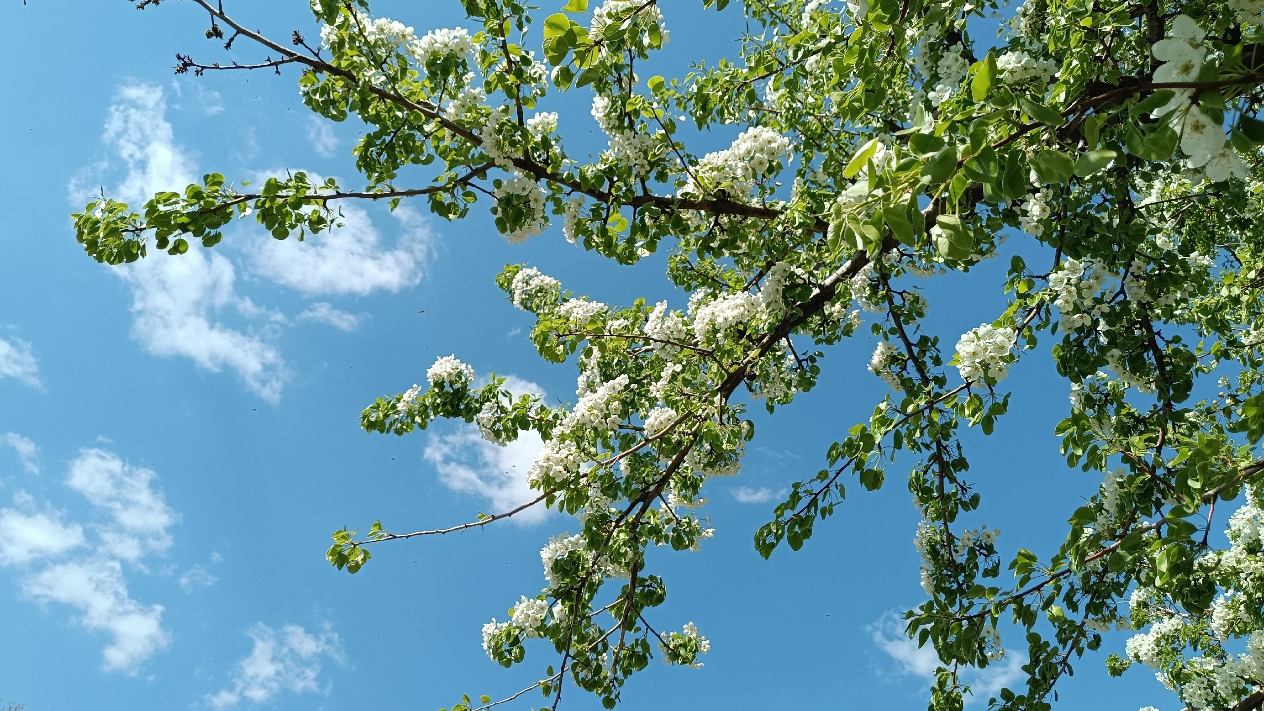 Читальный зал. Марина Рыбкина — Глубинная психология