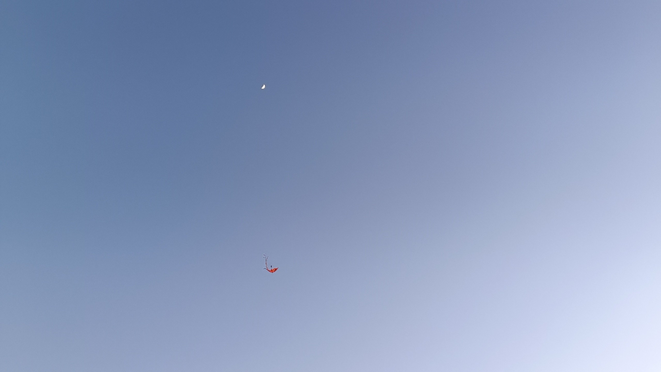 Читальный зал. Марина Рыбкина — Глубинная психология