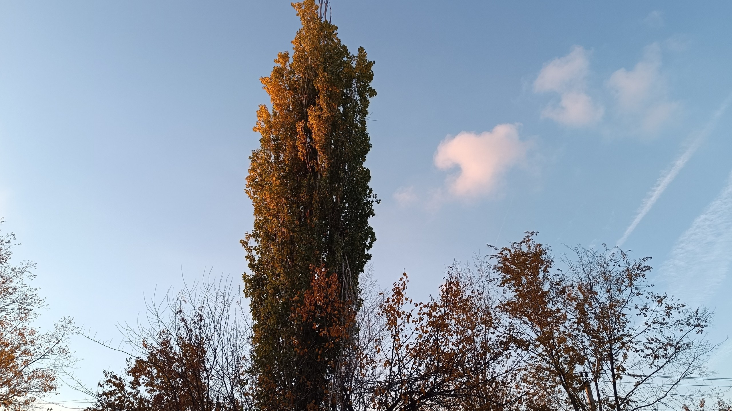 Читальный зал. Марина Рыбкина — Глубинная психология