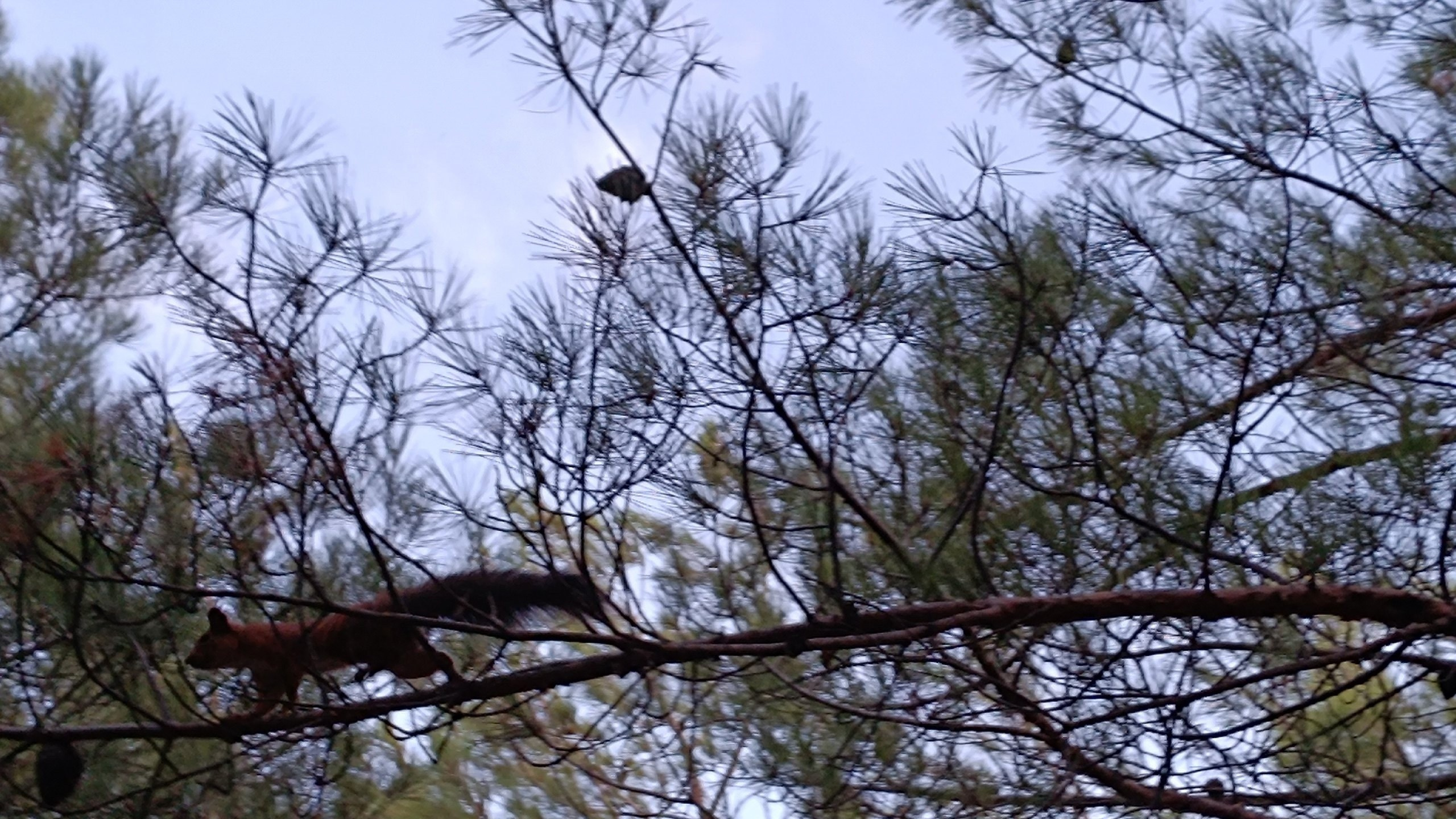 Ольфактотерапия. Марина Рыбкина — Глубинная психология