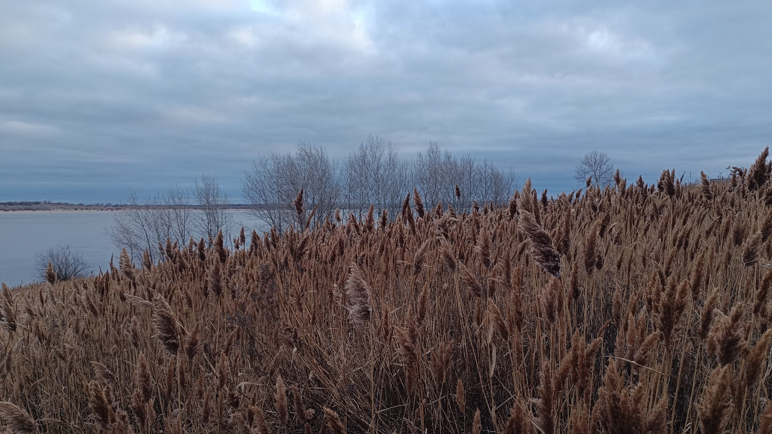 Читальный зал. Марина Рыбкина — Глубинная психология