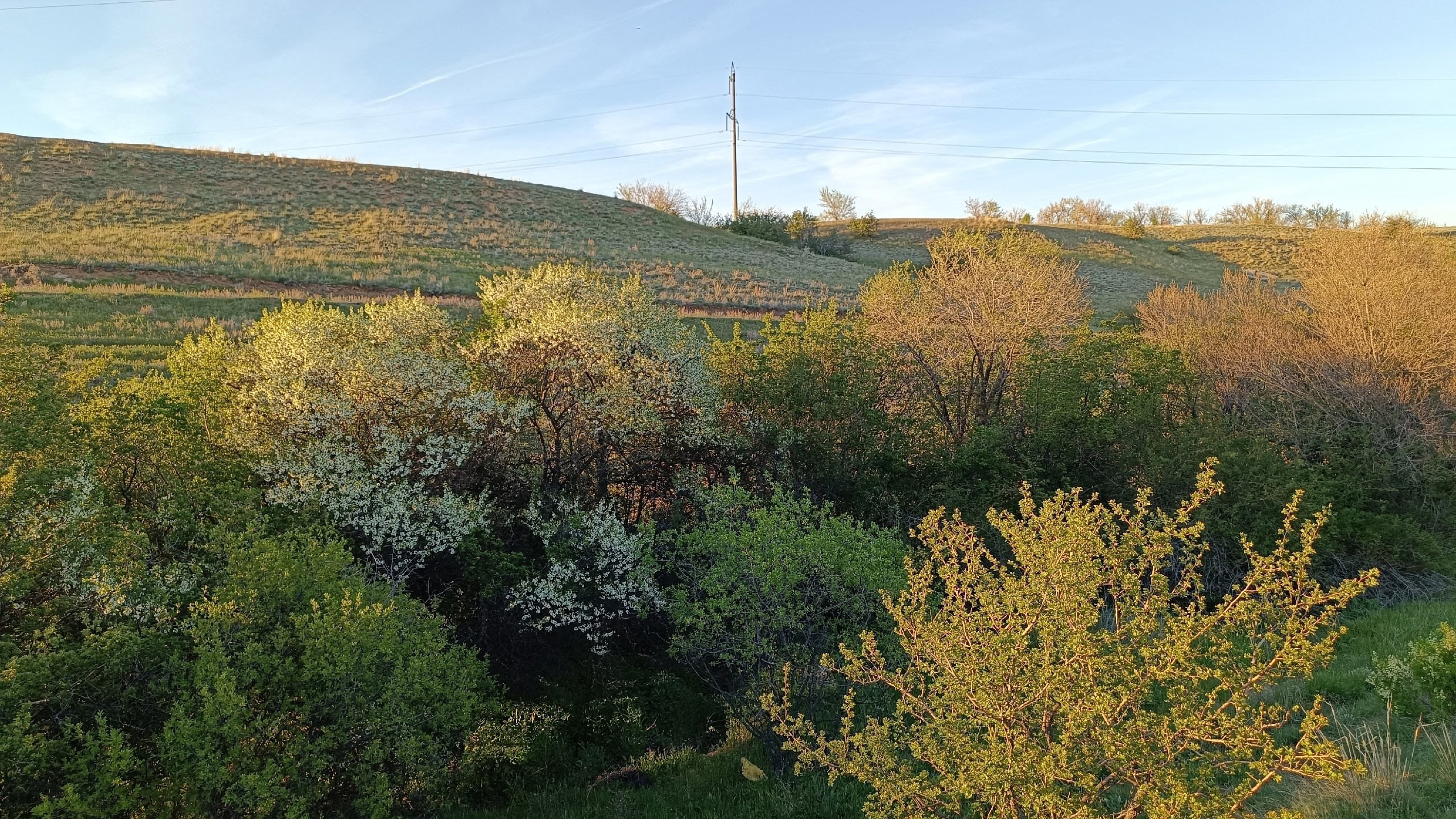 Читальный зал. Марина Рыбкина — Глубинная психология