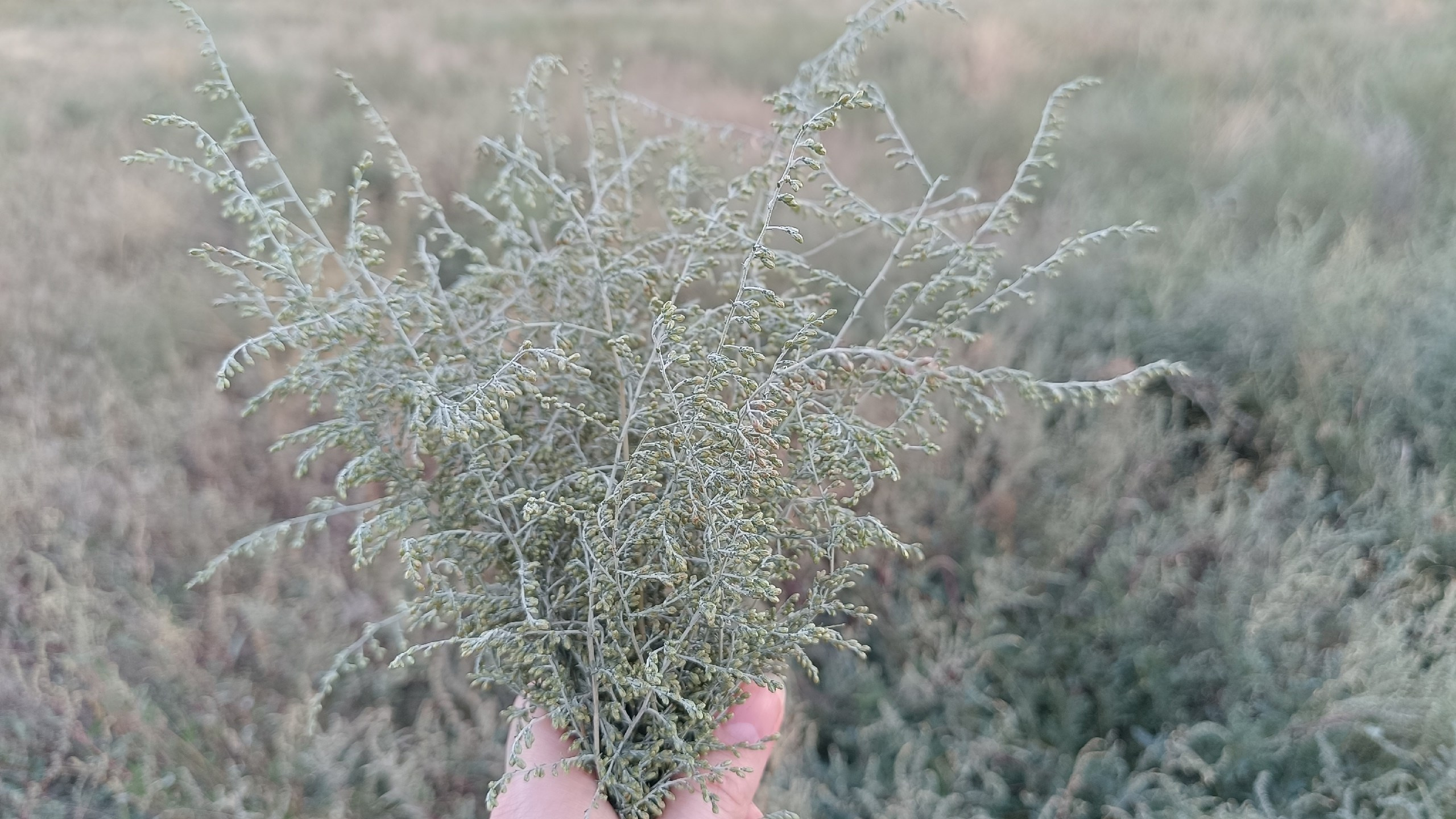 Читальный зал. Марина Рыбкина — Глубинная психология