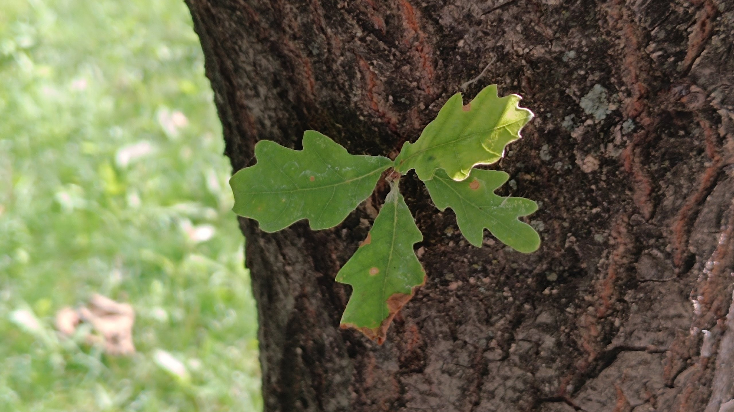 Читальный зал. Марина Рыбкина — Глубинная психология