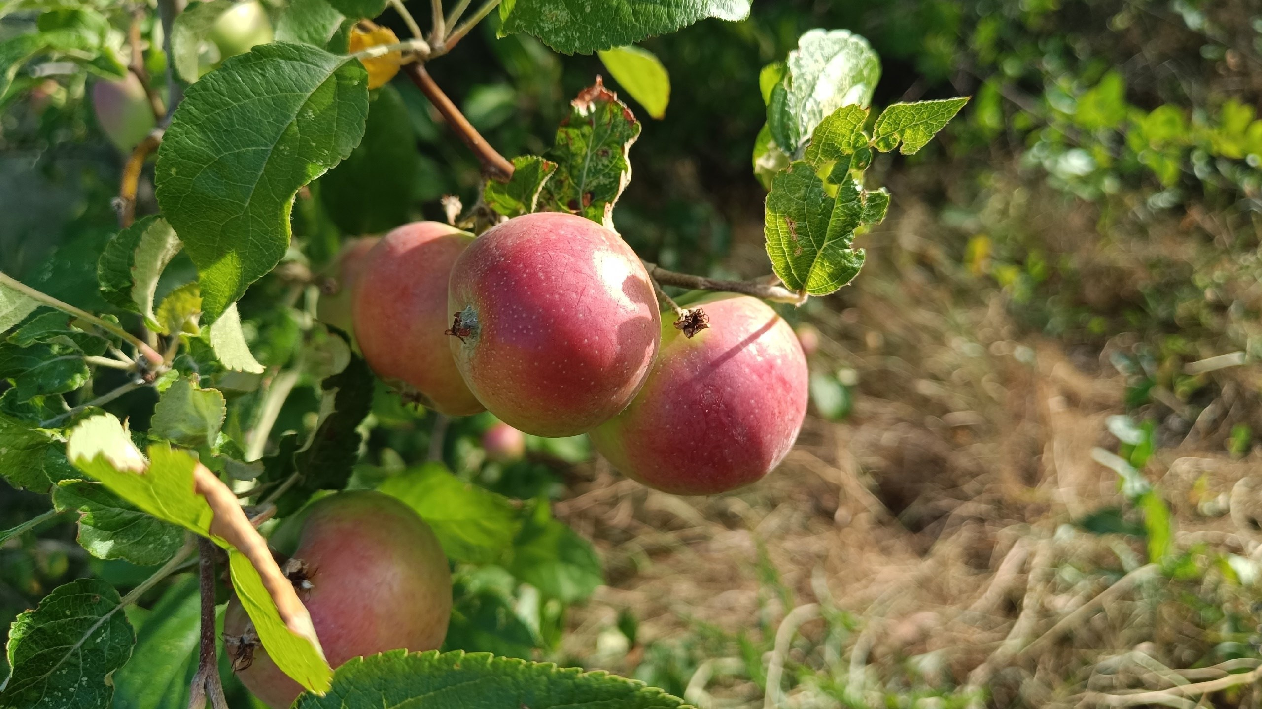 Читальный зал. Марина Рыбкина — Глубинная психология