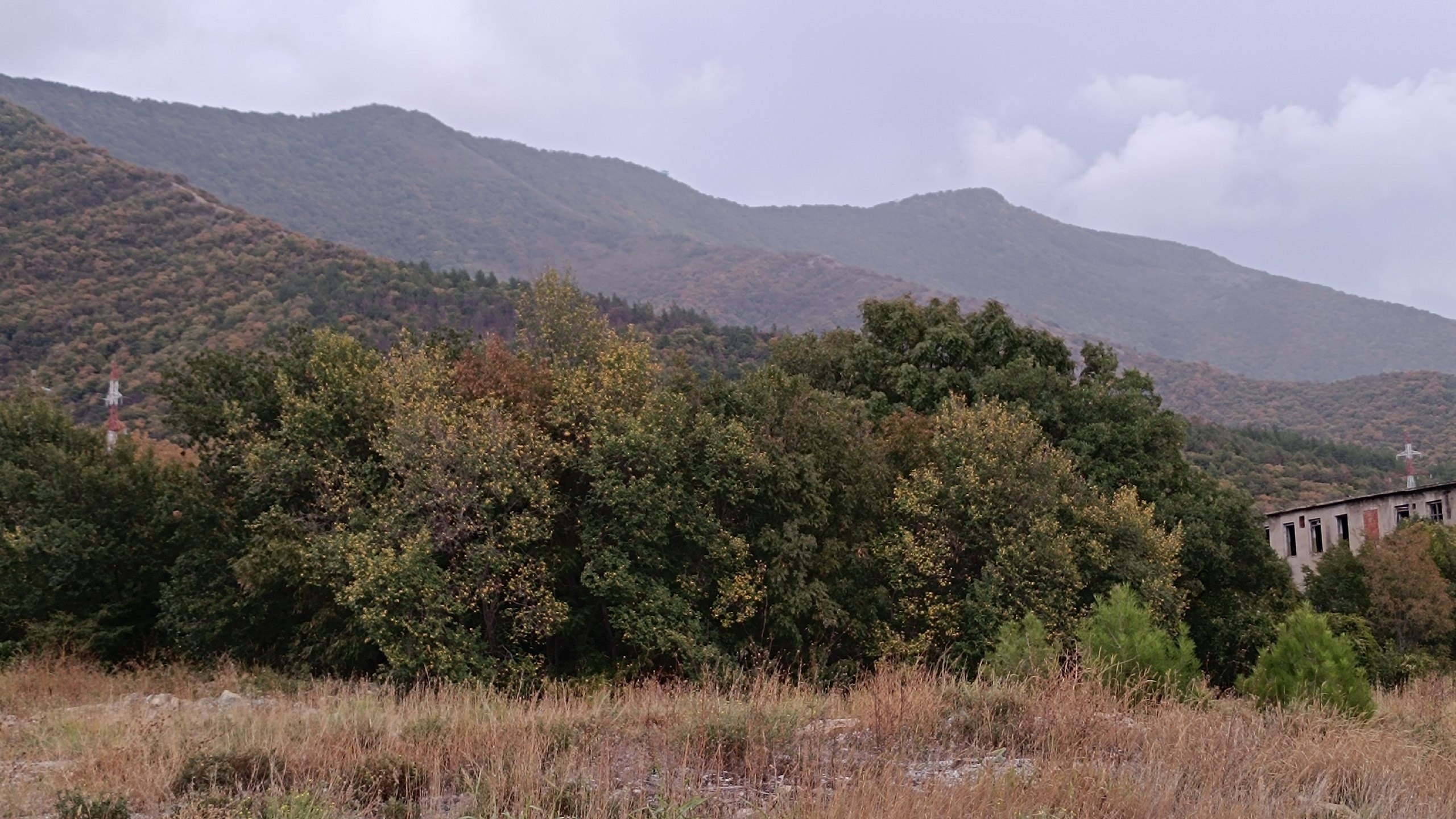 Читальный зал. Марина Рыбкина — Глубинная психология