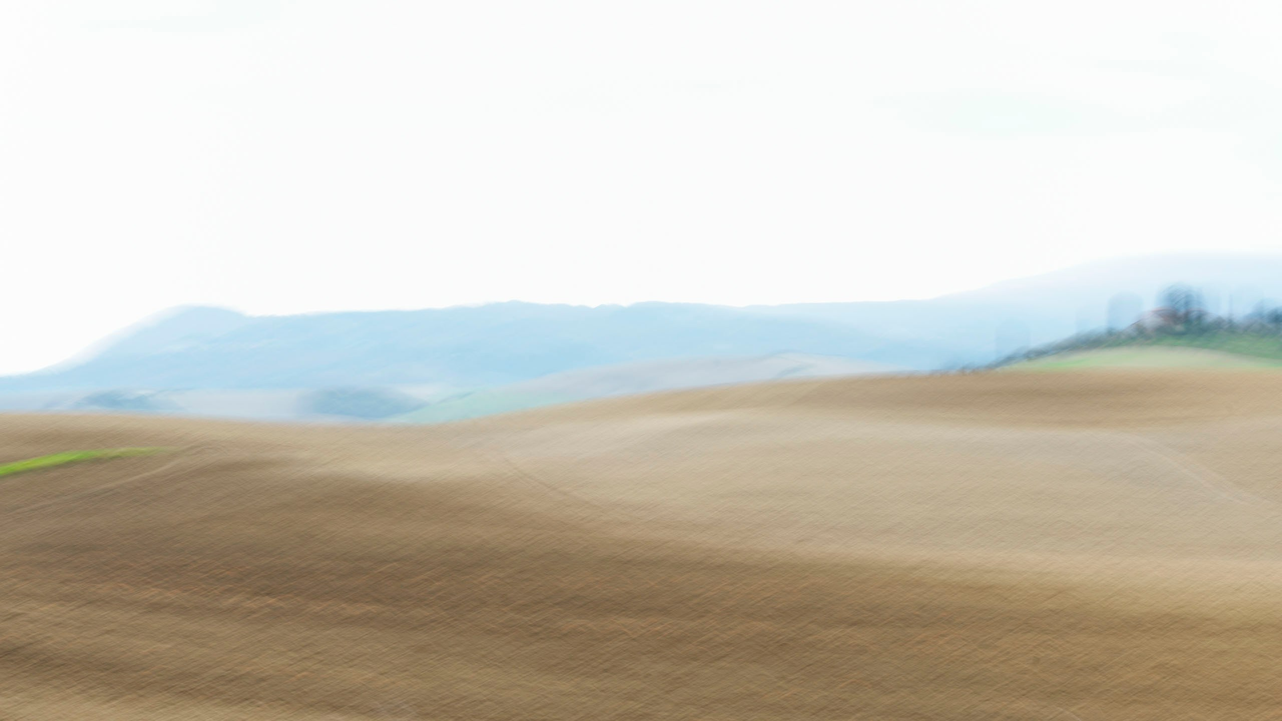 Дыхание Тосканы — абстрактная арт-фотография в зелёных тонах | Talulla Photography