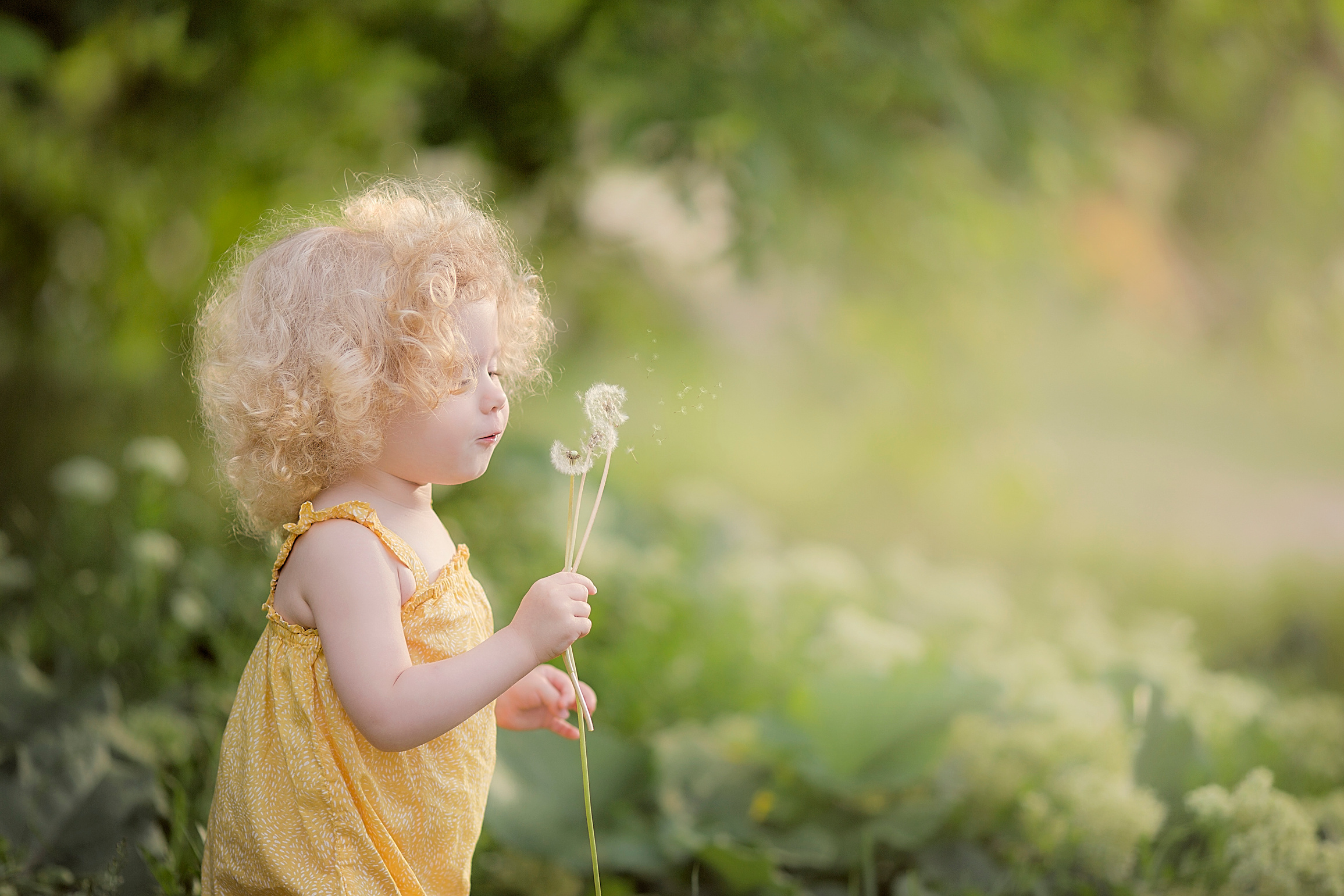 Стоимость. Семейный и детский фотограф Ростов-на-Дону