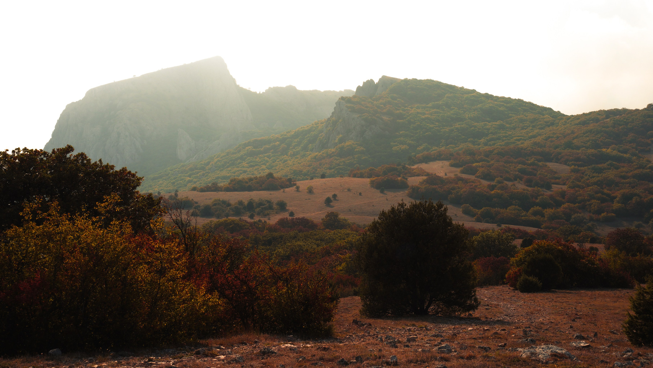 Крым. Фотограф из Москвы — DASHA NOVA | Авторская фотография в разных жанрах