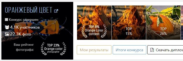 Фотограф-анималист Марина Виноградова