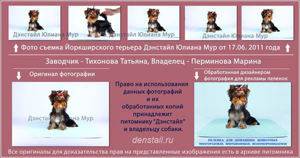 ПЕЛЕНКИ МНОГОРАЗОВЫЕ ДЛЯ СОБАК Дэнстайл. Питомник Йоркширских терьеров Дэнстайл в Санкт-Петербурге заводчик Тих
