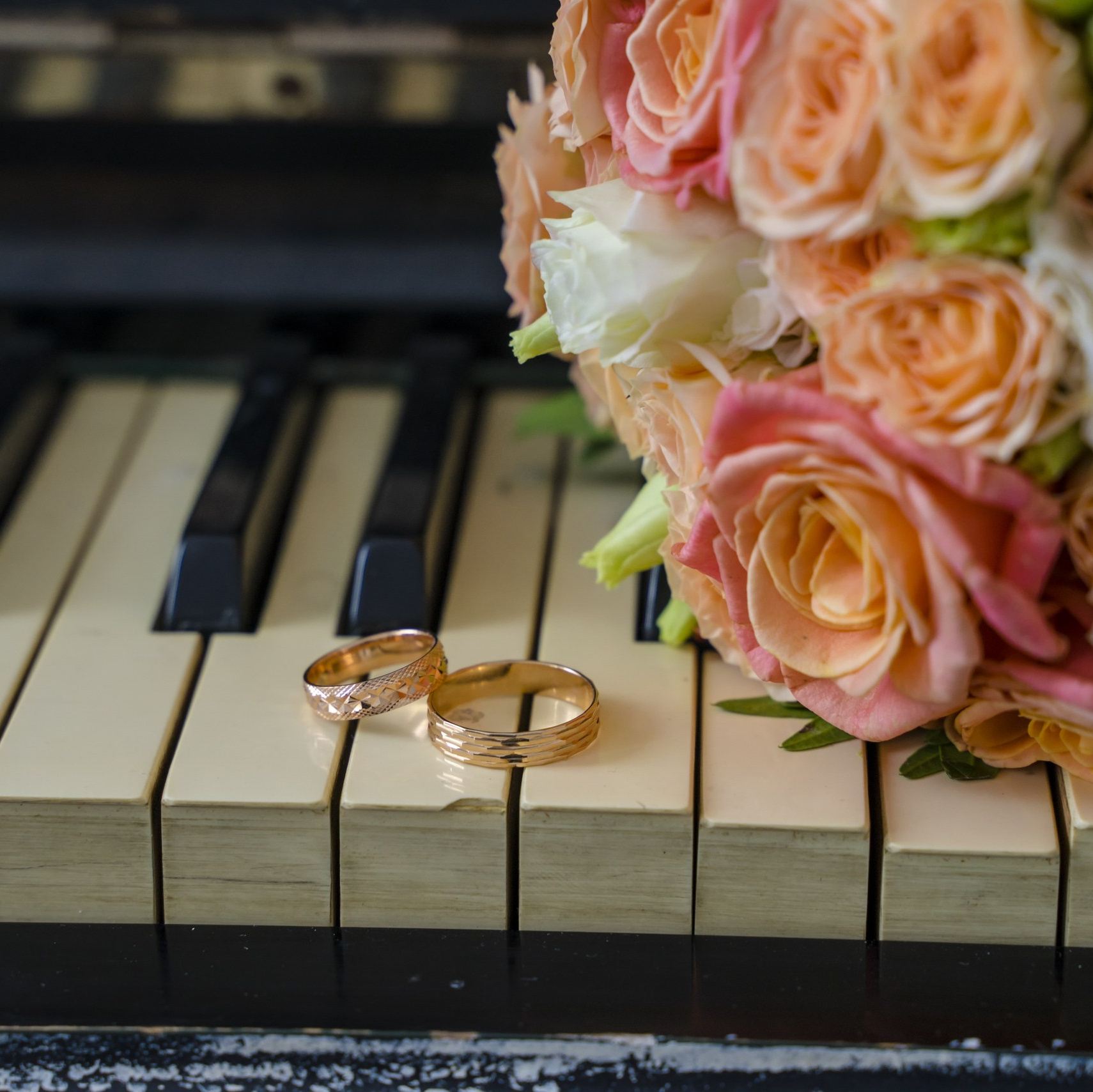 Профессиональная съёмка и монтаж фото&видео в Курске и области