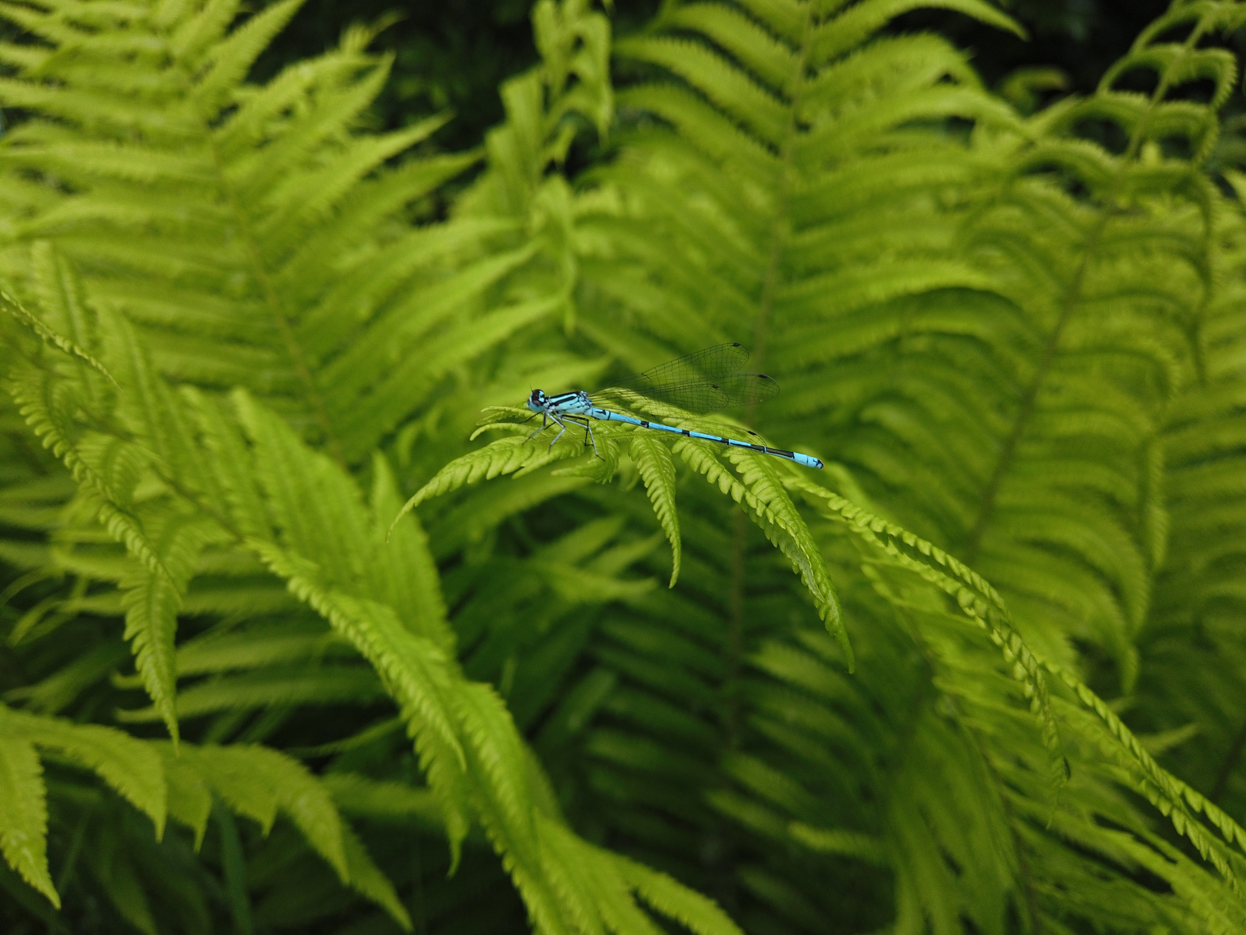 История о кадре. Саватейкин Ярослав | Портретный фотограф в Москве