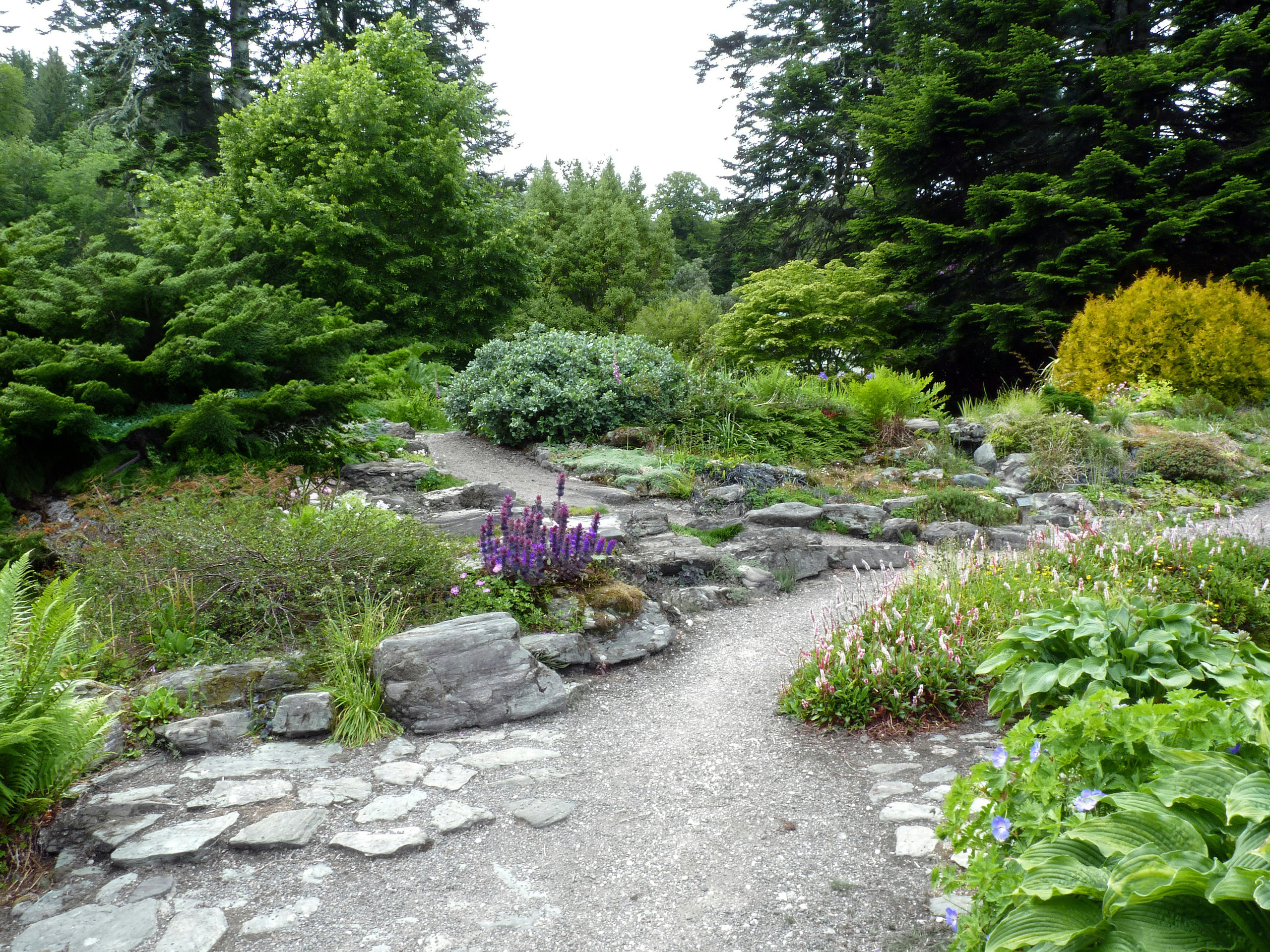 Услуги. Главная