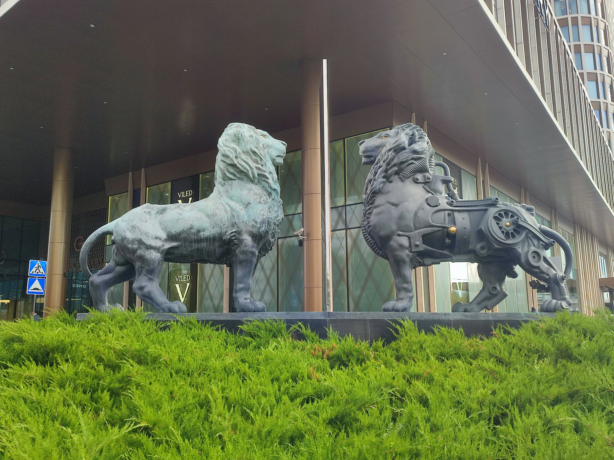 20-21/09.2025 КАЗАХСТАН г. Астана. Фотограф анималист Елена Галдина г. Красноярск